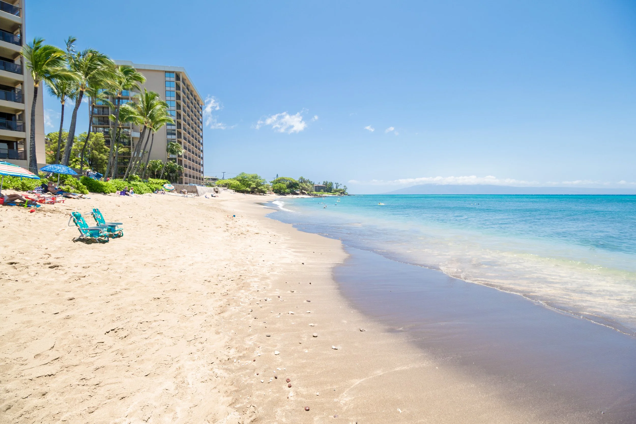 MAUIImage15.jpg