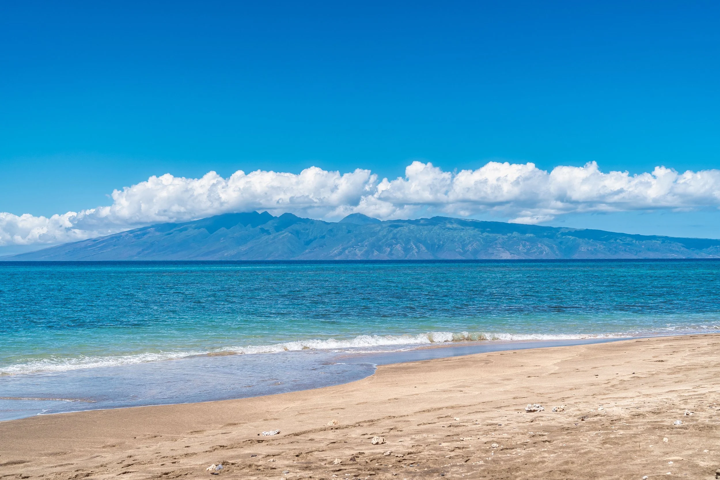 MAUIImage68.jpg