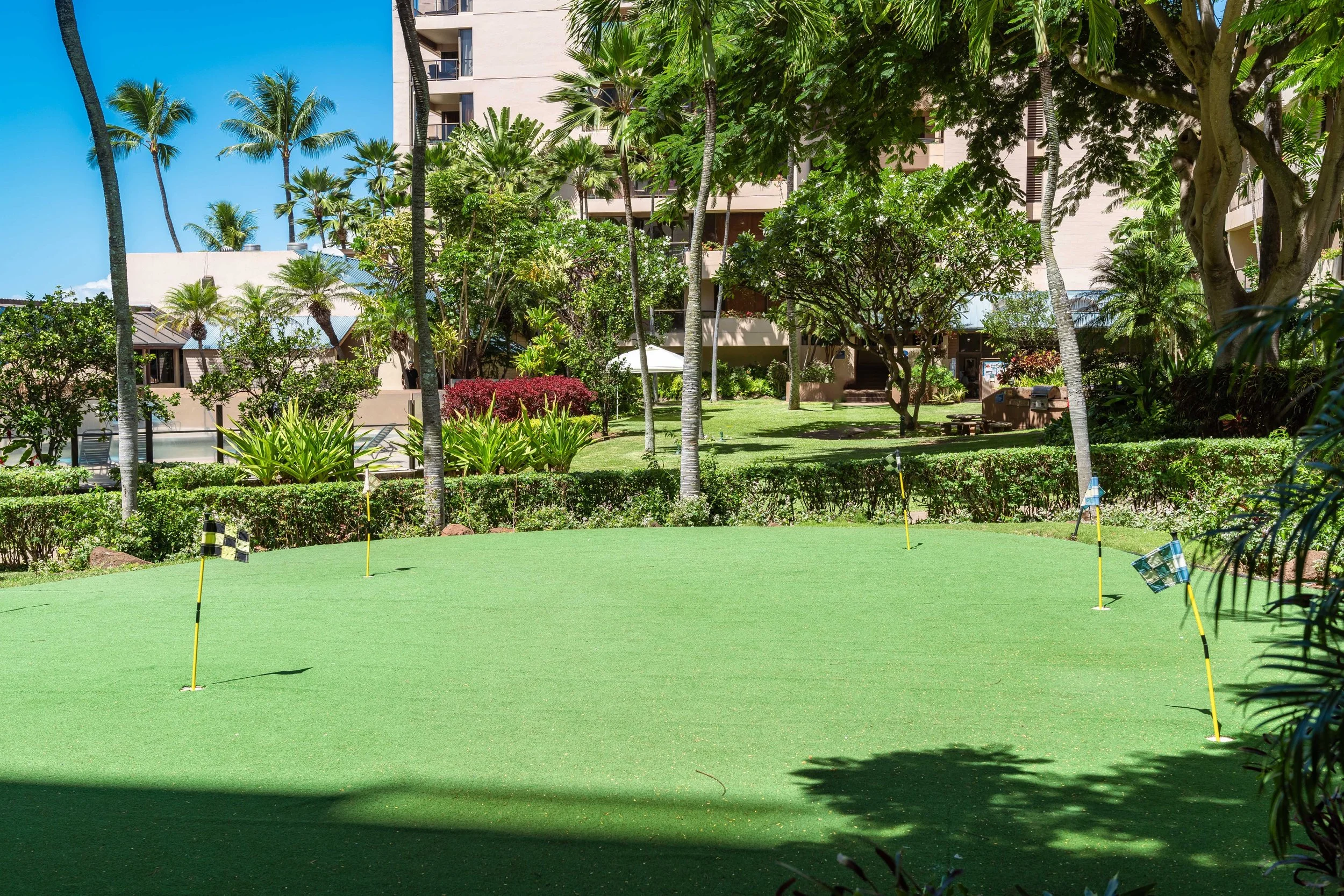 MAUIImage73.jpg