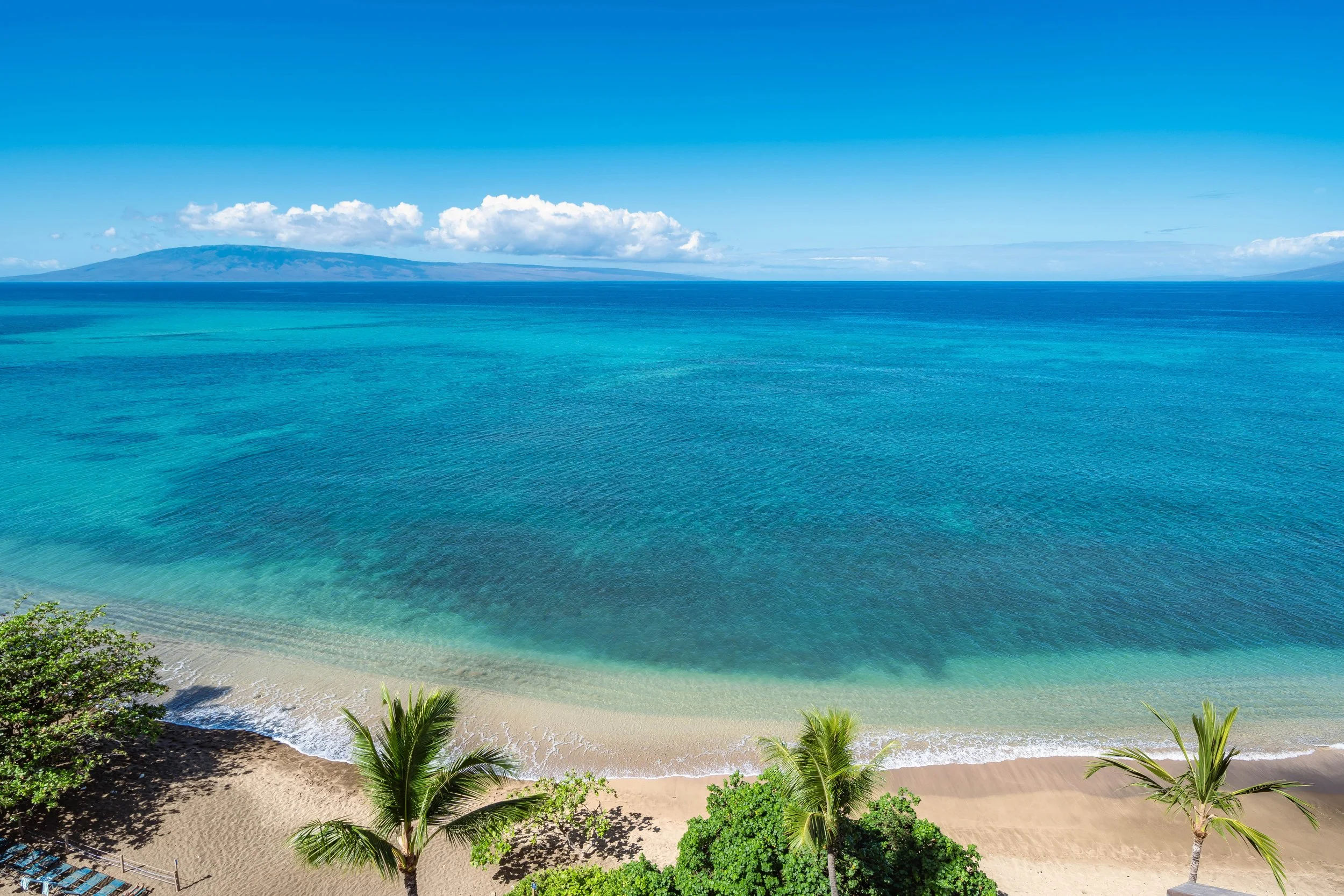 MAUIImage31.jpg