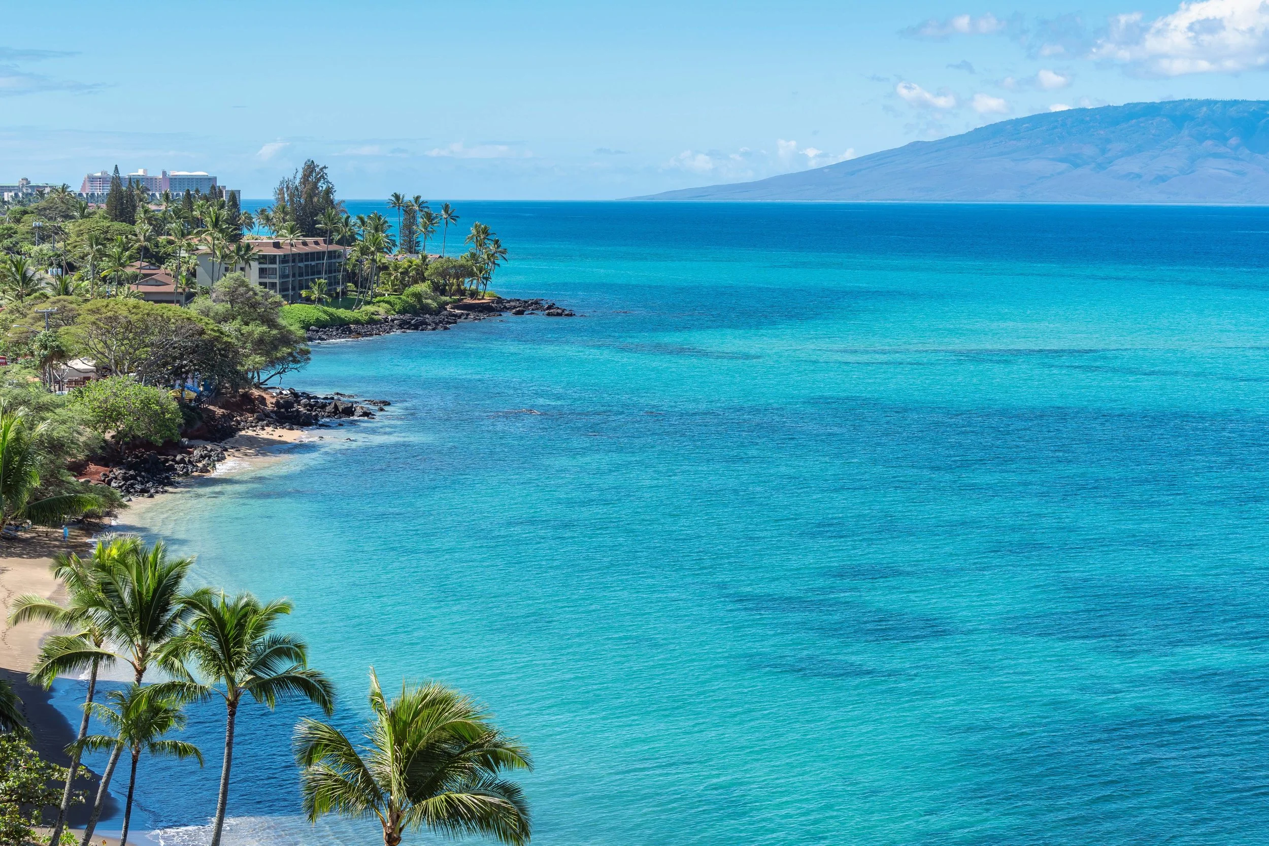 MAUIImage37.jpg