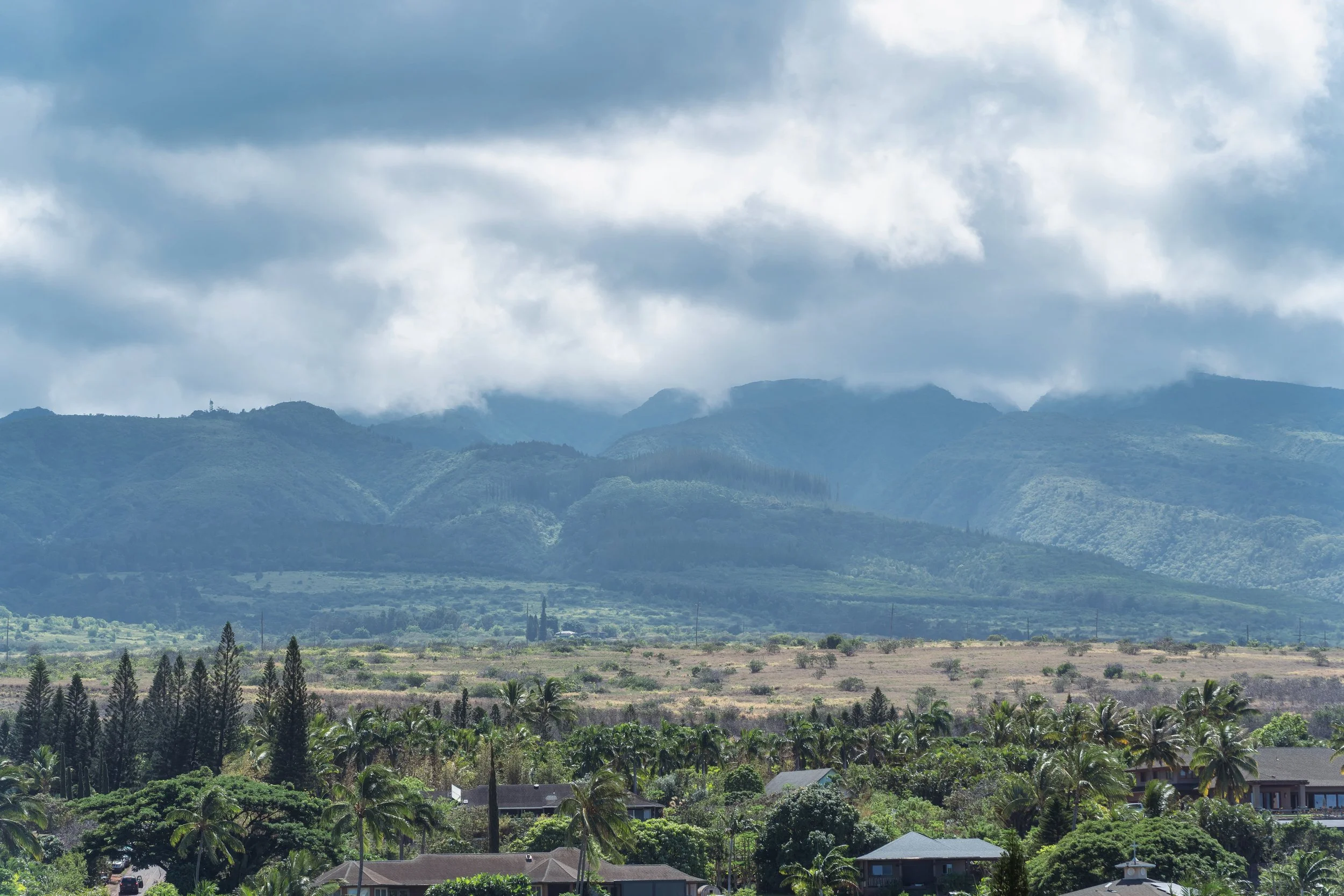 MAUIImage40.jpg