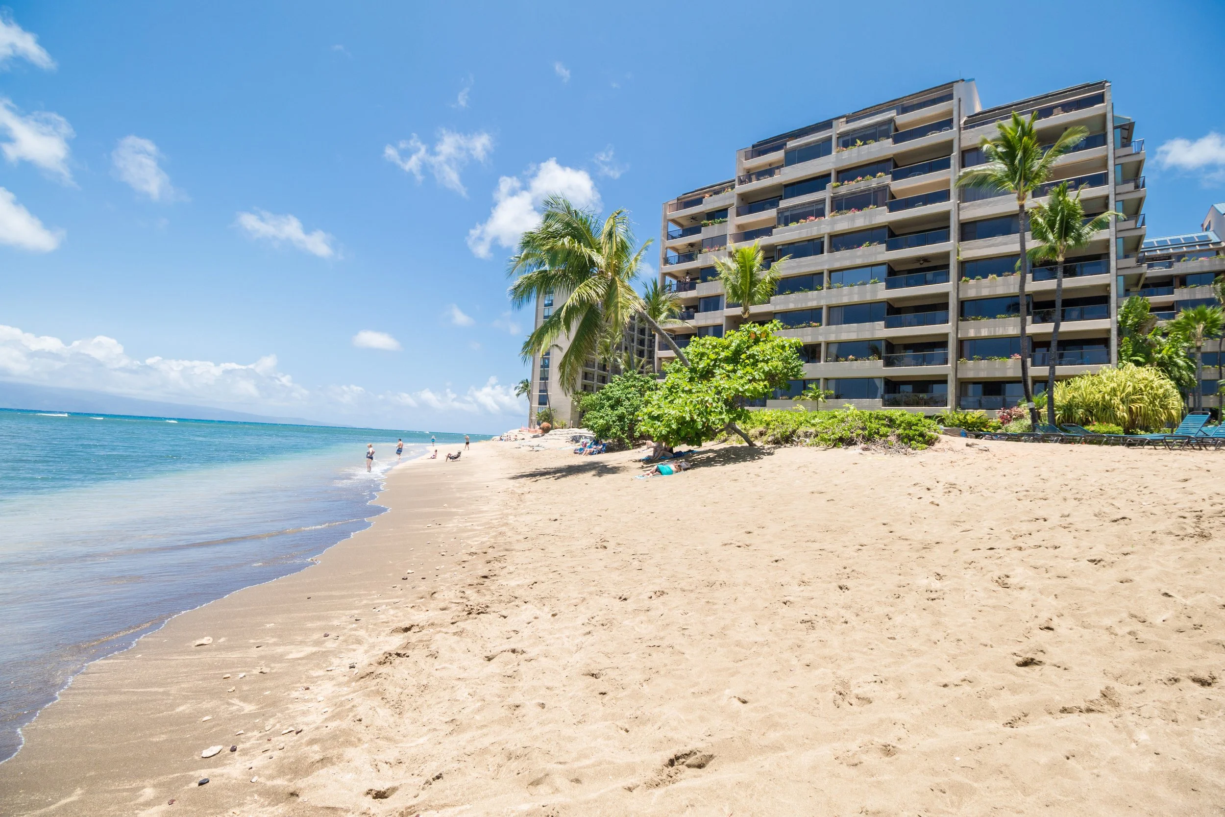 MAUIImage16.jpg
