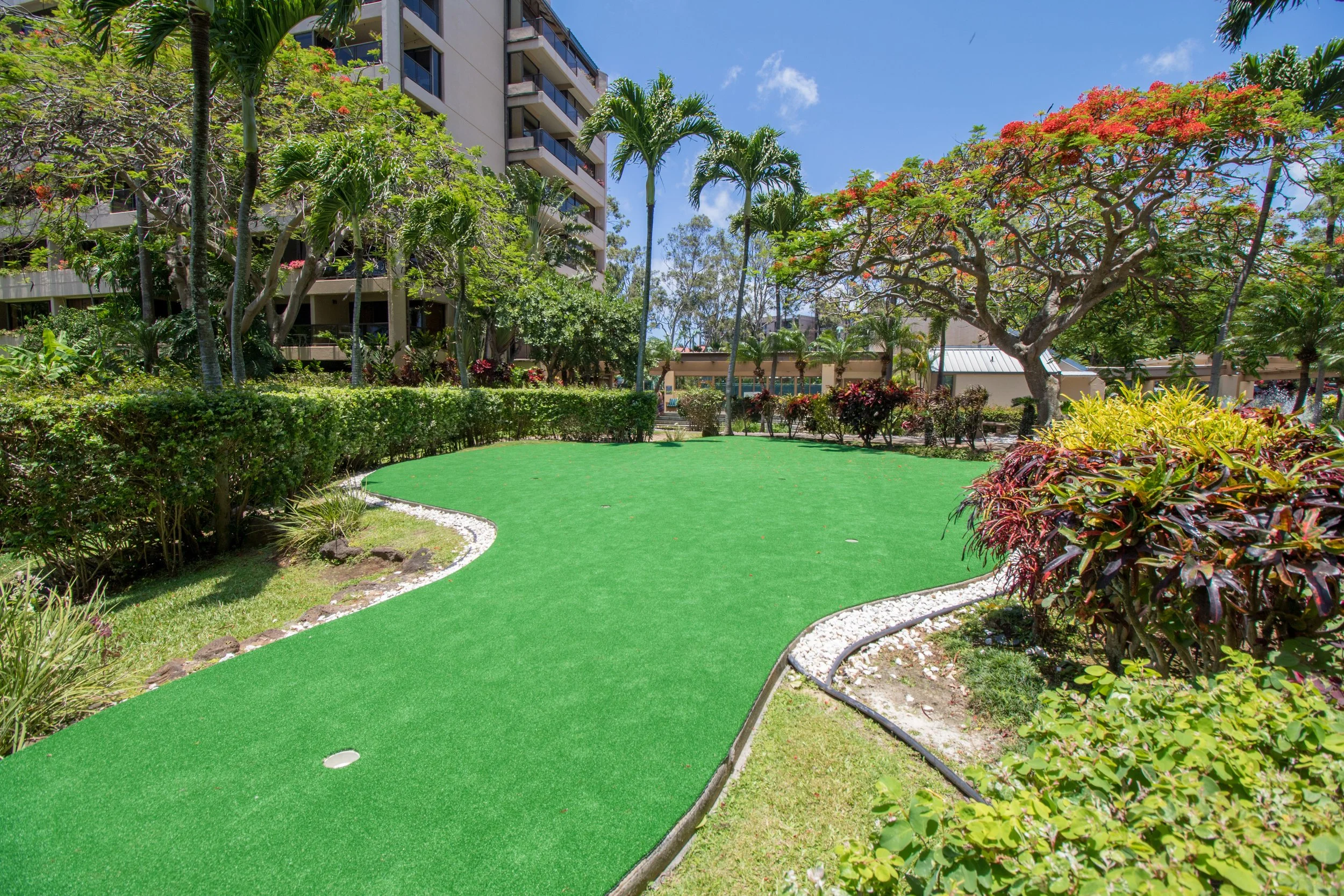 MAUIImage20.jpg