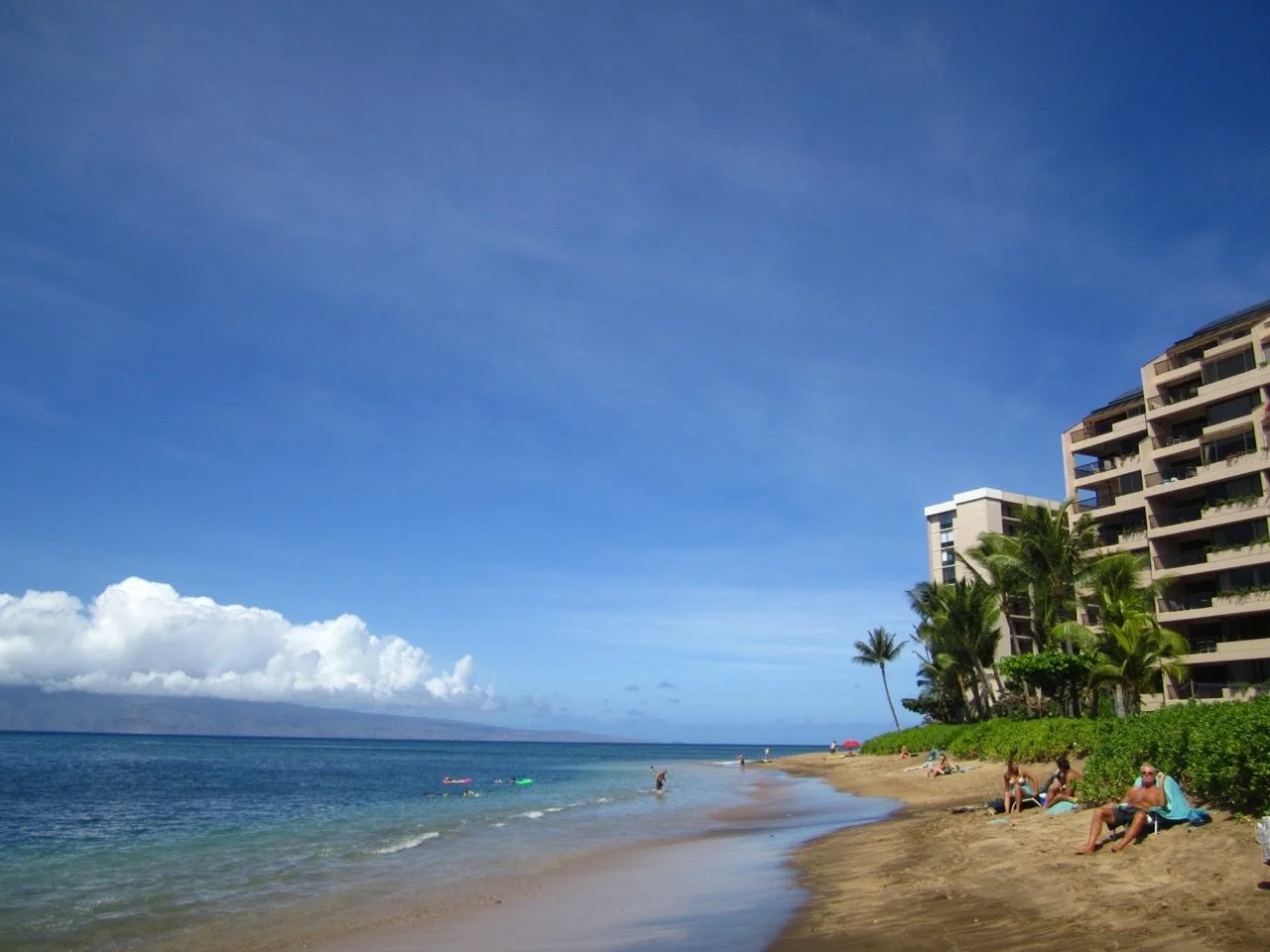 MAUIImage45.jpg