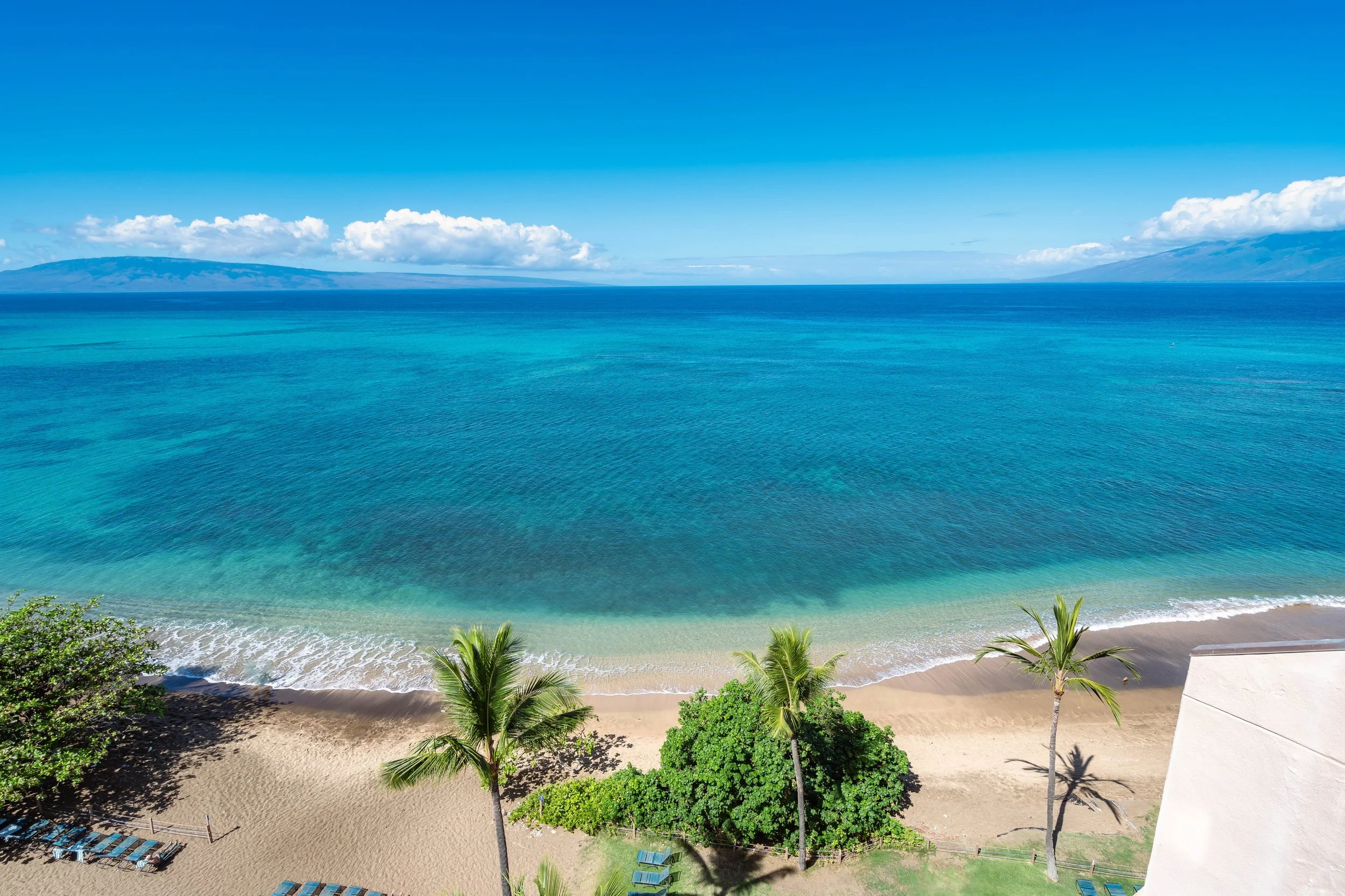 MAUIImage32.jpg
