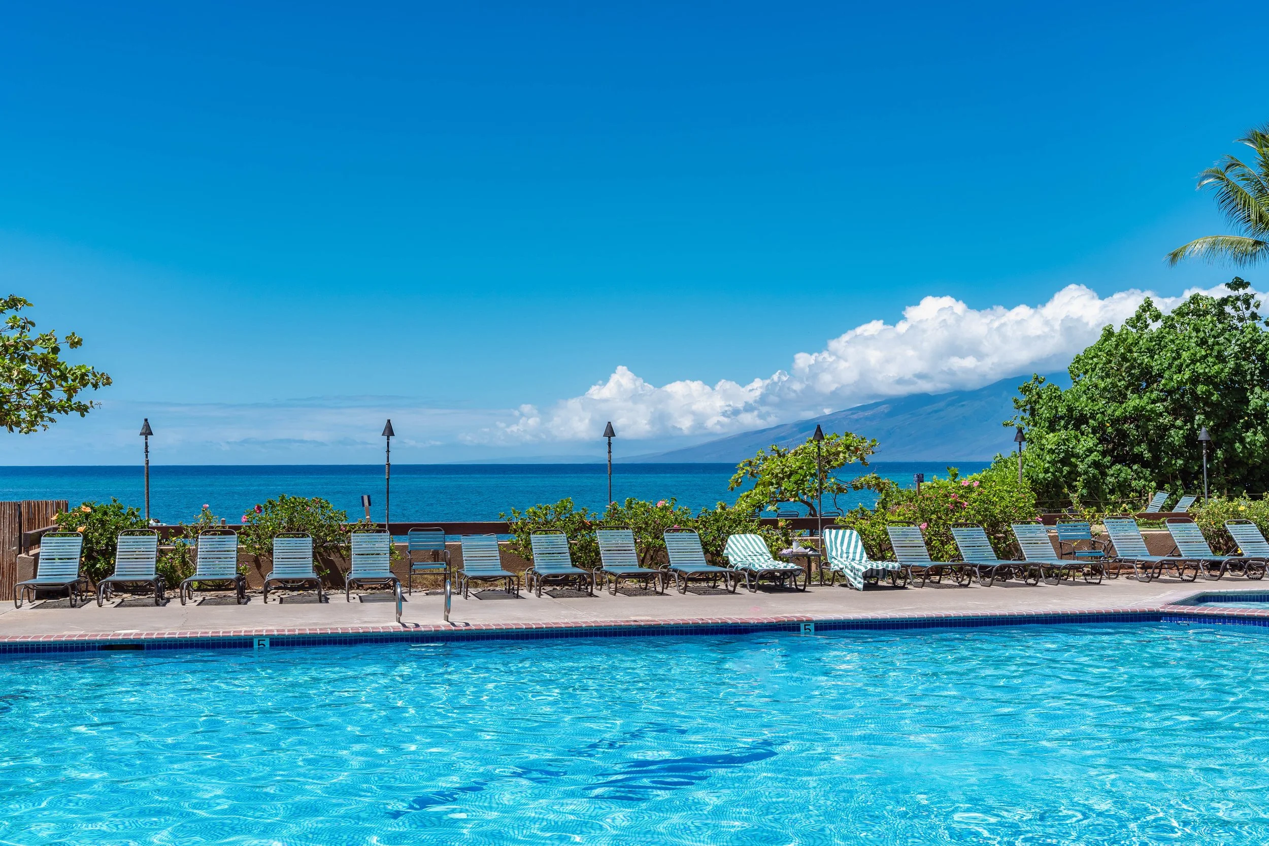 MAUIImage70.jpg