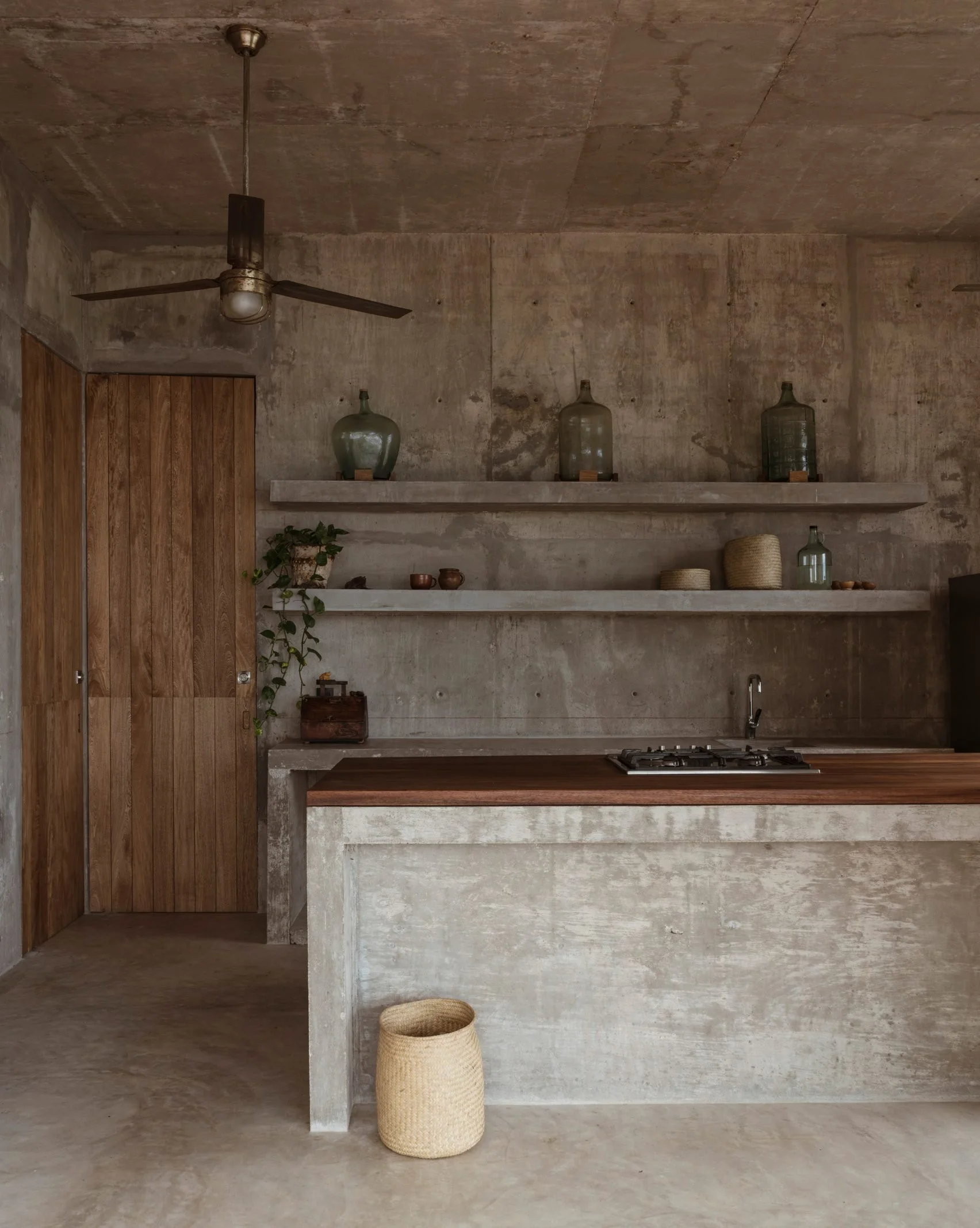 espacio-la-casa-del-sapo-mexico-house.jpg