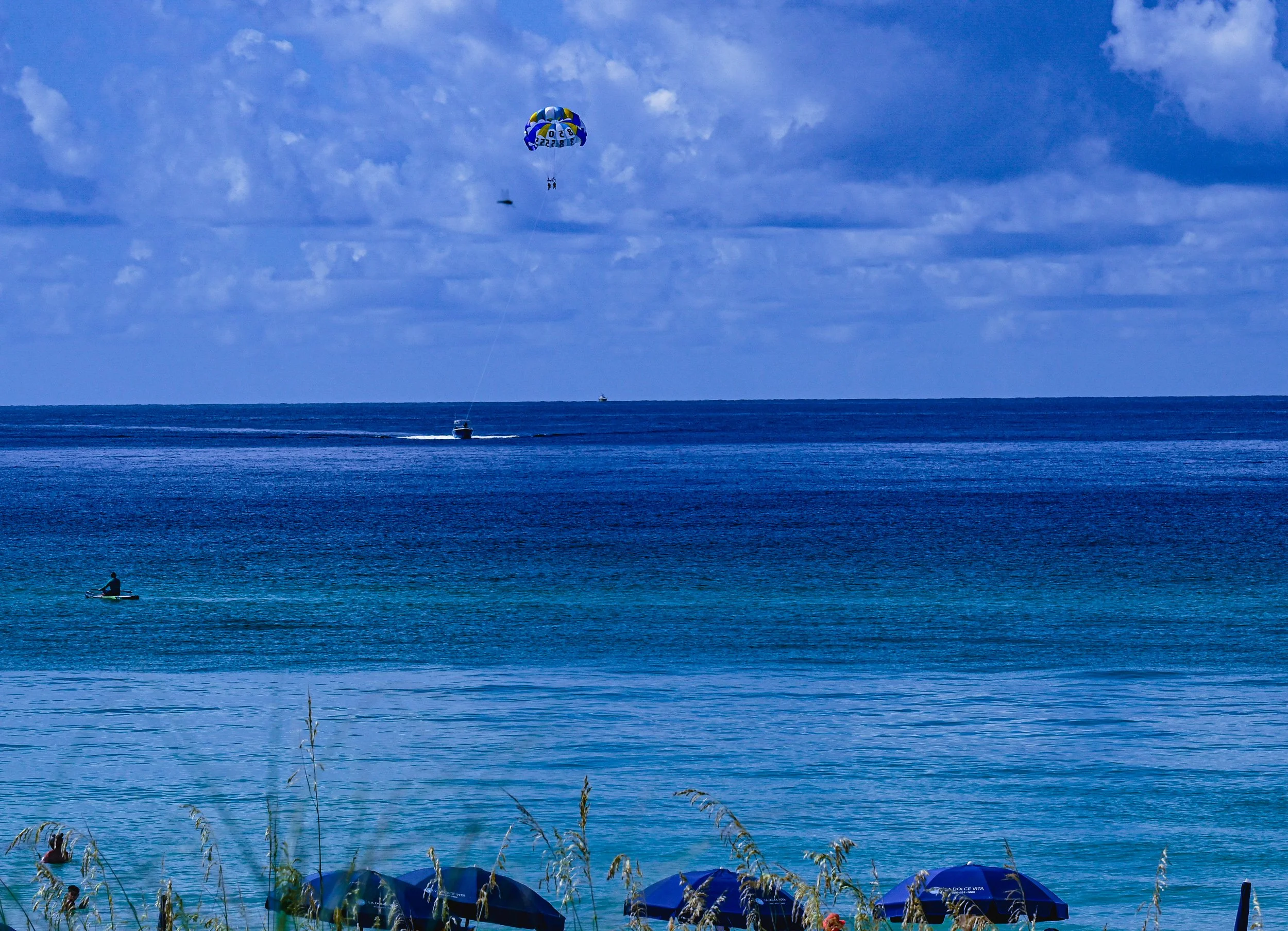 DSC_1121.jpg