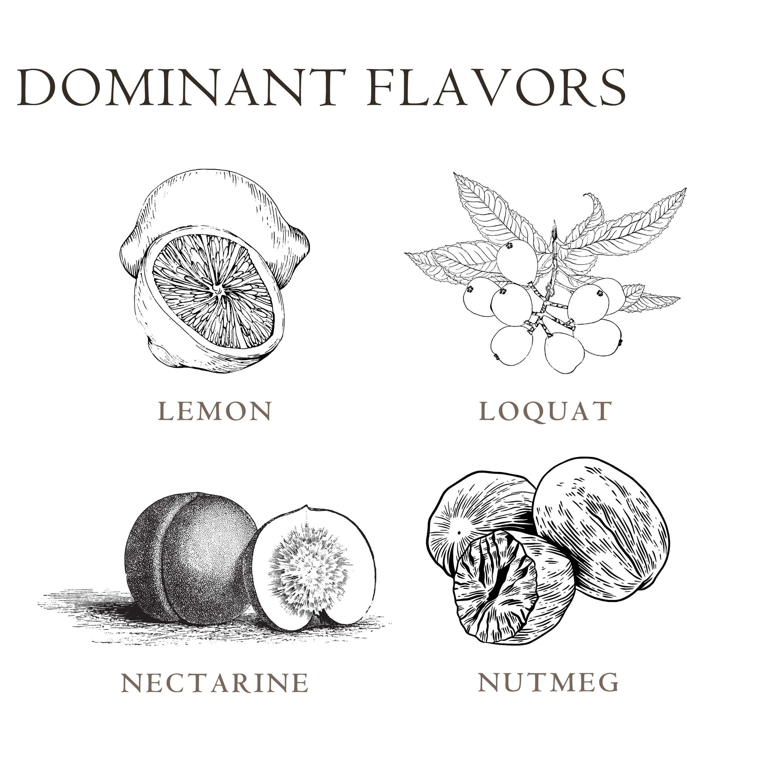DOMINANT FLAVORS.png