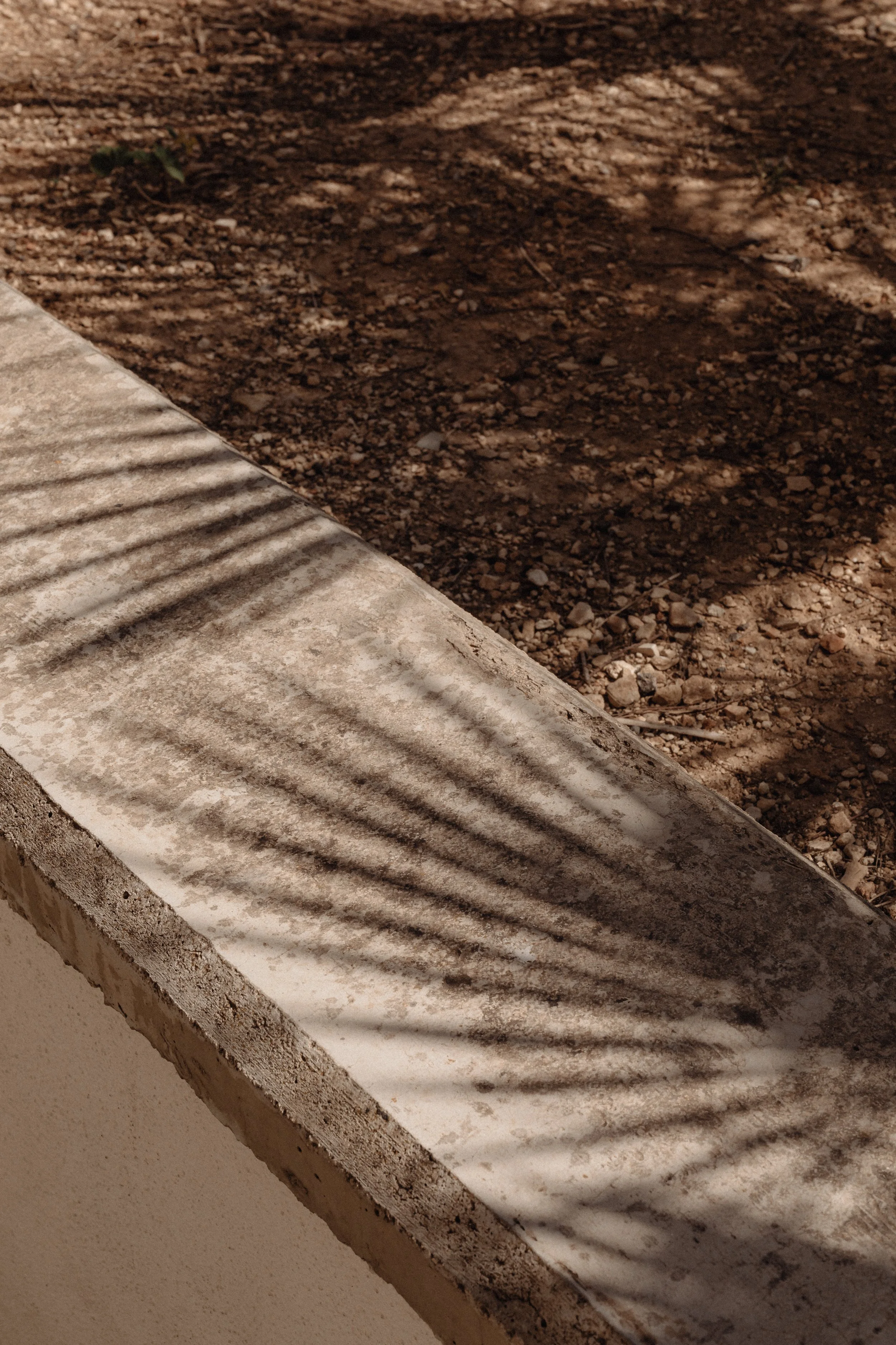 Sombra de una planta en una superficie de concreto con textura, en un fondo de tierra seca.