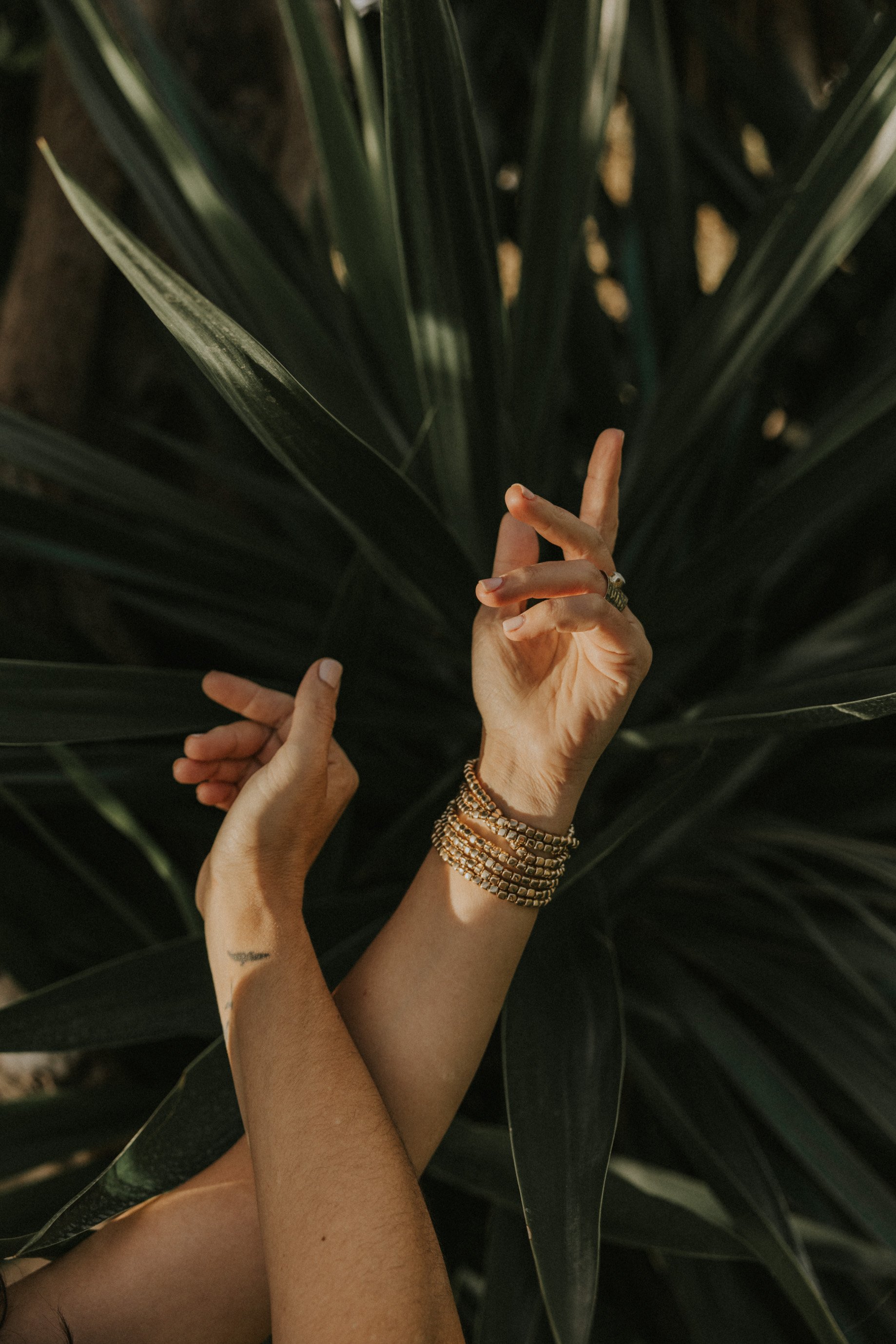 Manos con pulseras doradas levantadas adelante, rodeadas de hojas verdes largas y delgadas.