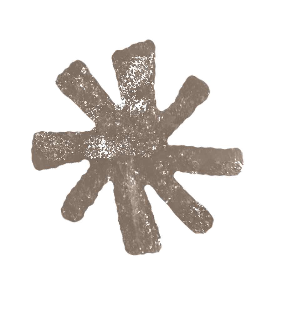 Estrella de mar de color marrón con textura rugosa y múltiples brazos dispuestos en diferentes direcciones.