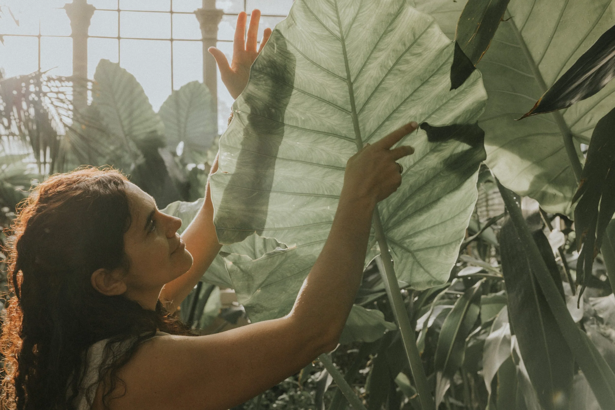 Una mujer joven inspeccionando una gran hoja de planta en un invernadero o jardín botánico, rodeada de otras plantas verdes.
