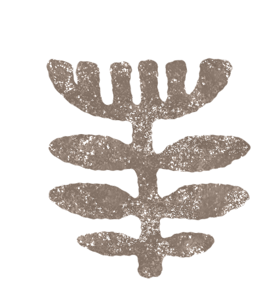 Un árbol con ramas que se extienden en varias direcciones, cubierto de nieve o polvo, en un fondo transparente.