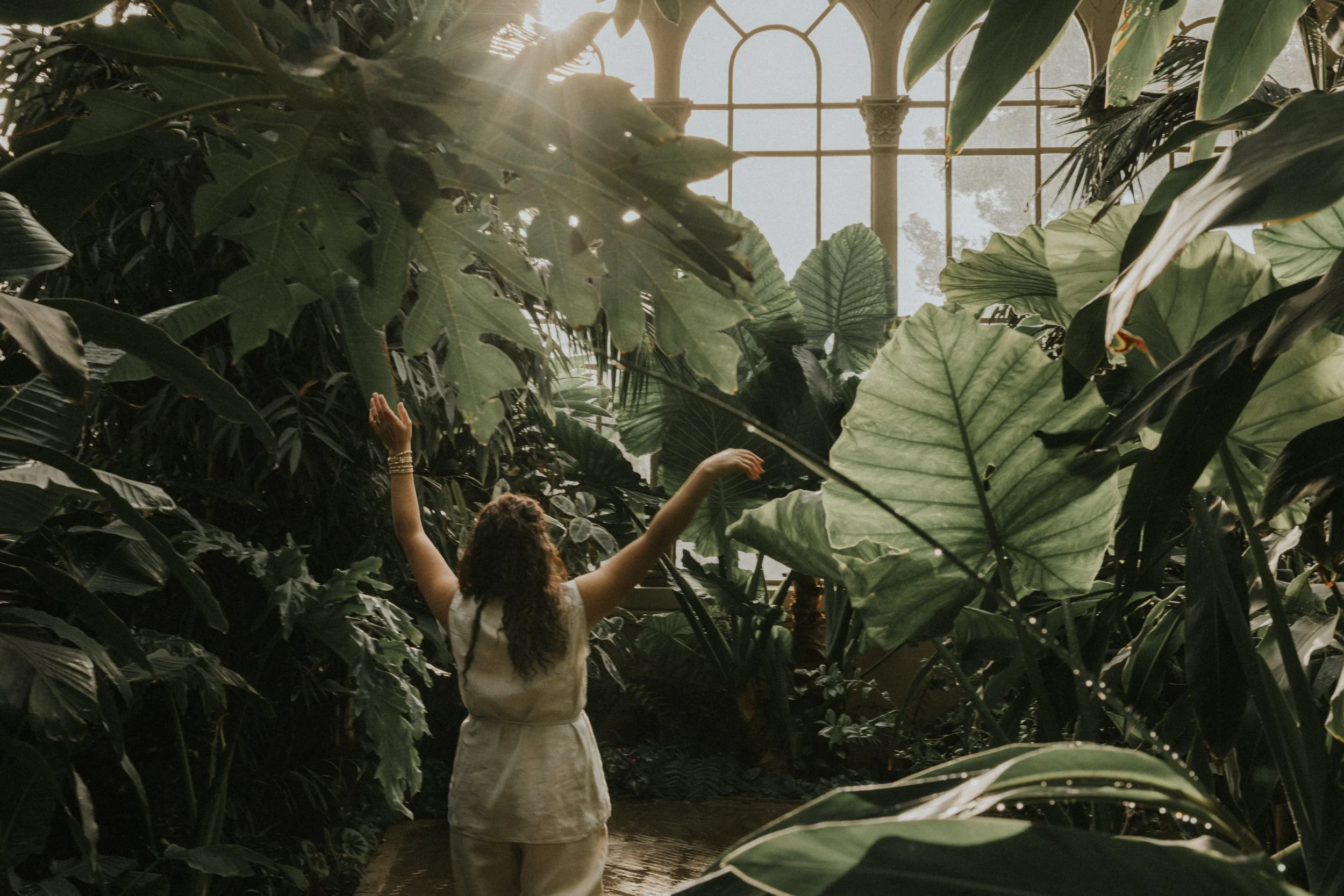 Persona con brazos levantados en un invernadero lleno de plantas tropicales y luz solar que entra por ventanas arqueadas.