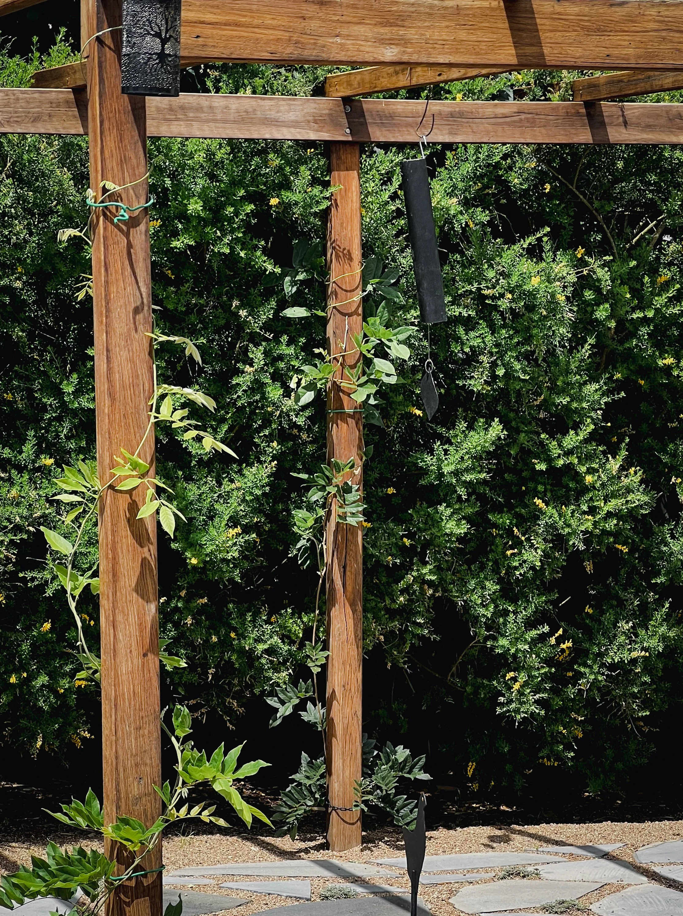 pergola Jill.jpg