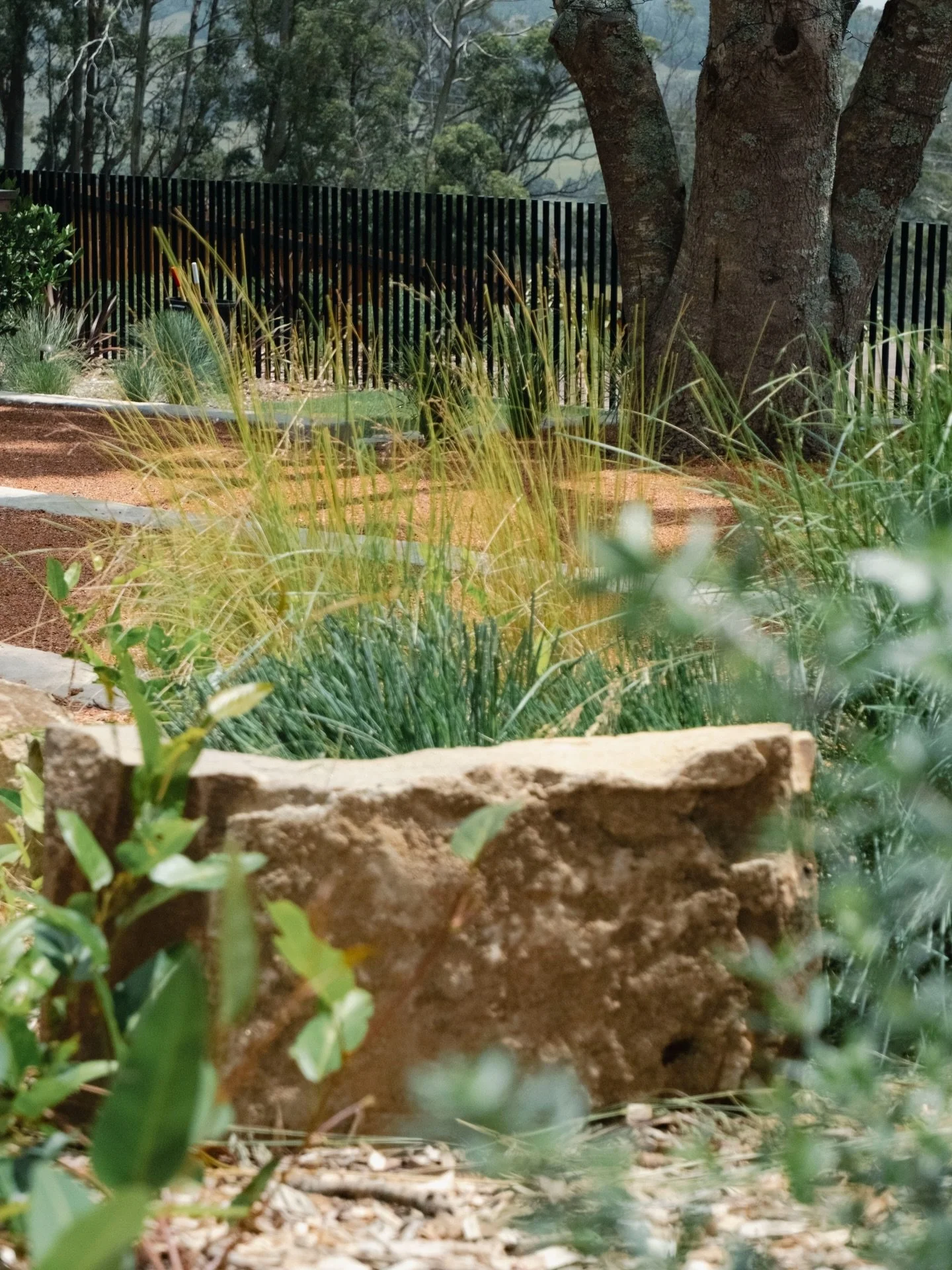 Stay cool out there today 🌞 

If you&rsquo;ve got a birdbath, give it a top up- and don&rsquo;t forget about the critters outside who might be feeling the heat too. 

#Landscaping #LandscapeDesign
#OutdoorLivingAustralia #SustainableLandscaping
#Gar