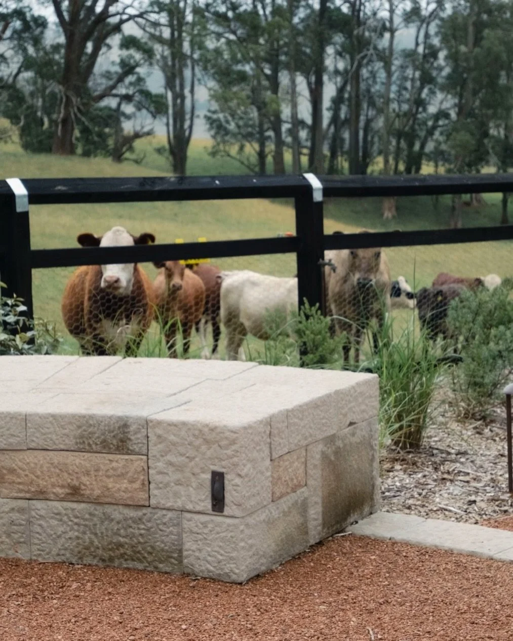 It looks like we&rsquo;re not the only fans of our stonework 😅