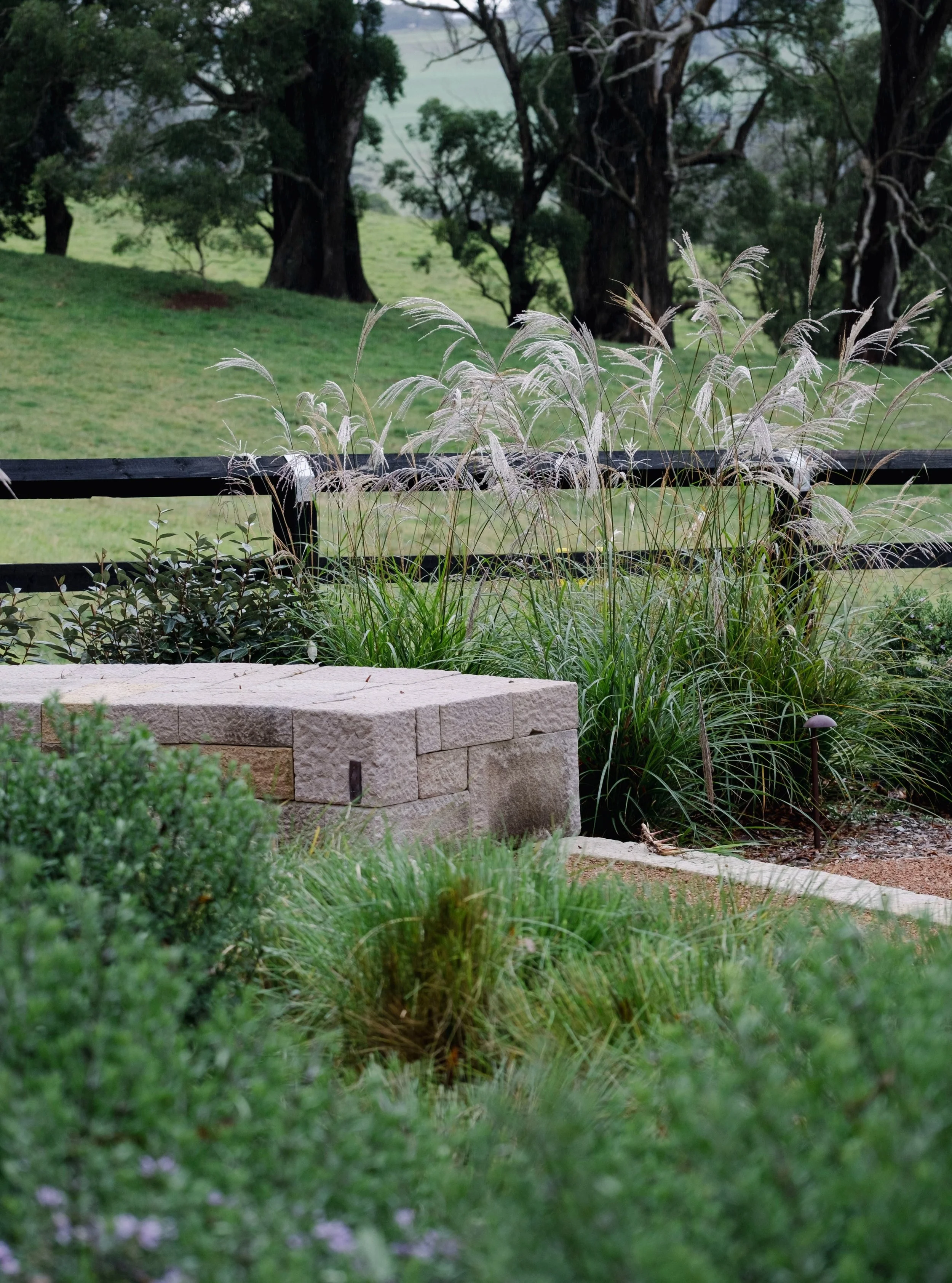 Local sandstone. Settling in like it's been here forever. That was our goal with our Robertson project.