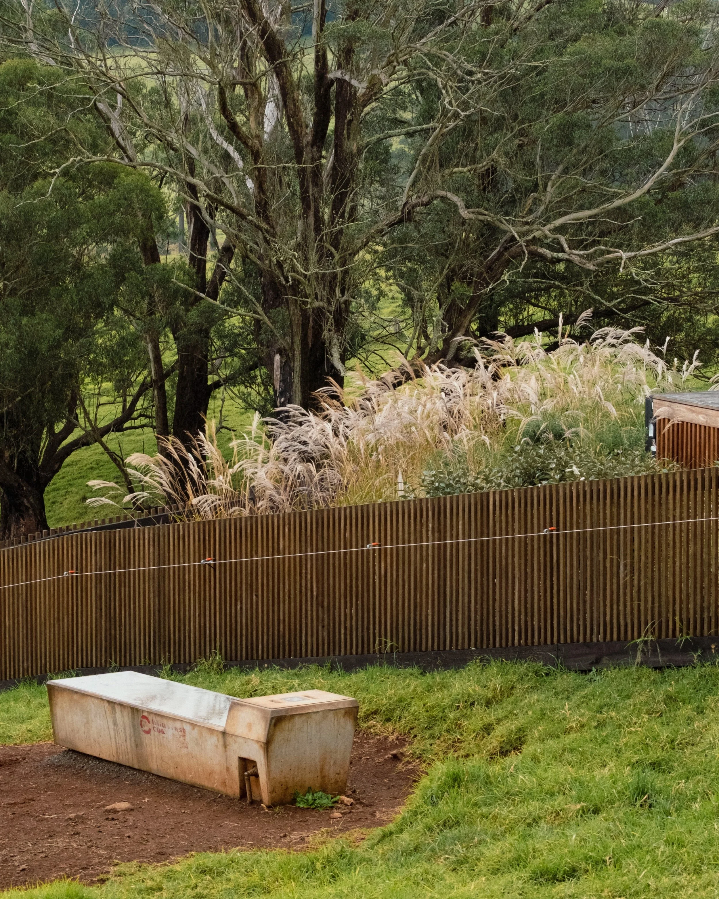 Australian hardwood, concrete details and the Miscanthus popping through.

#landscapedesign #australiangarden #miscanthus #hardwoodfence #gardeninspo #southernhighlands