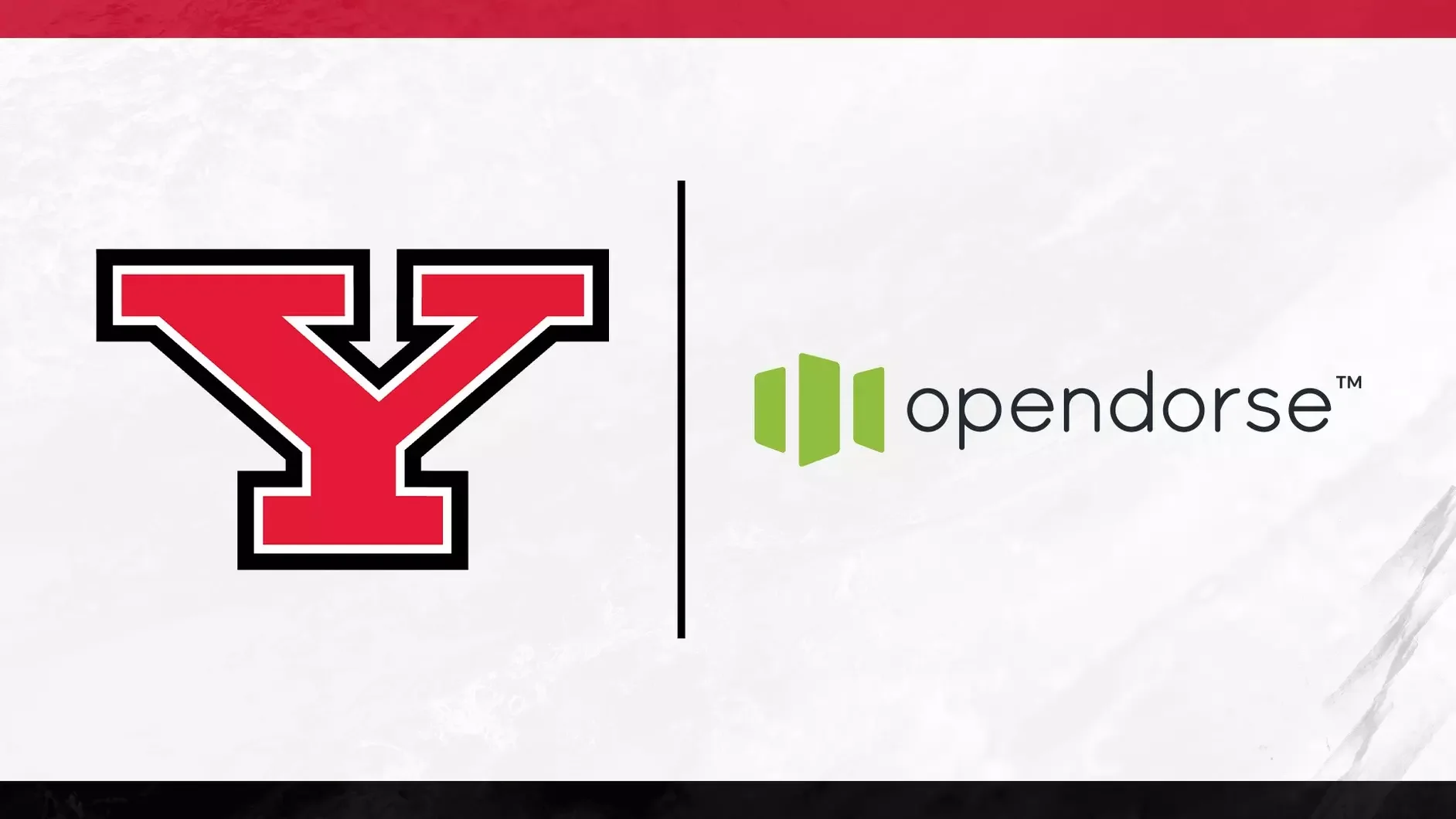 YSU.webp
