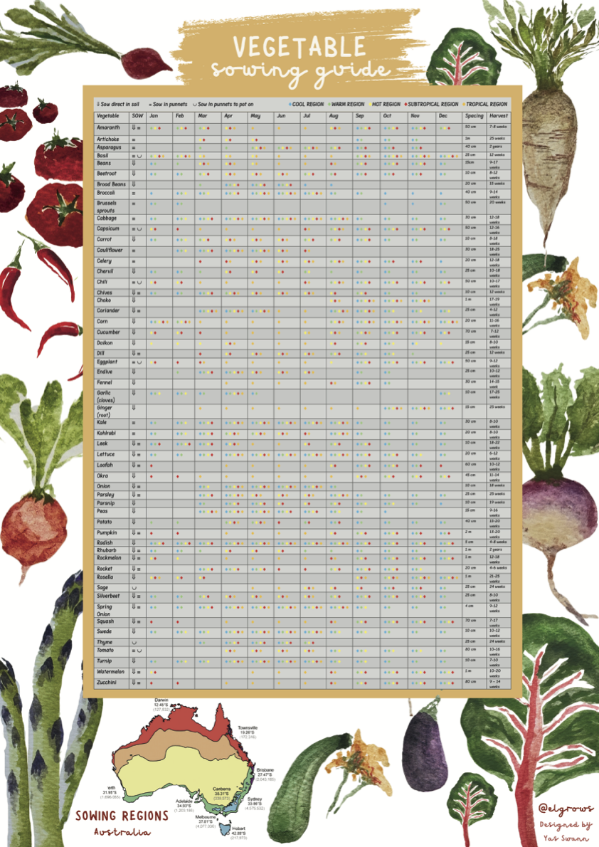 Seasonal Vegetable Planting Calender