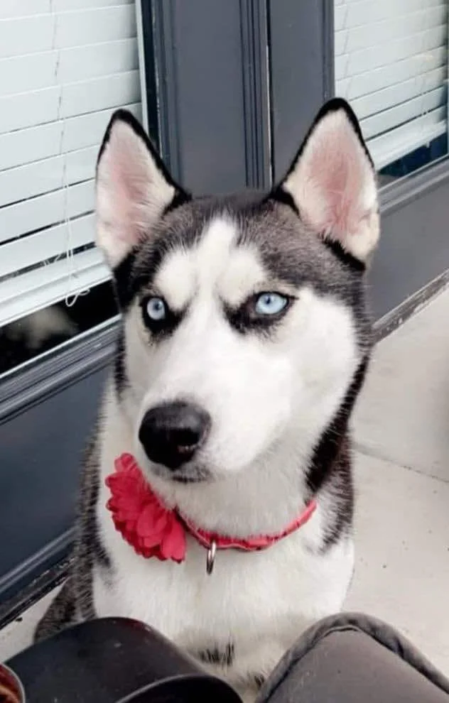 Emma Face.jpg
