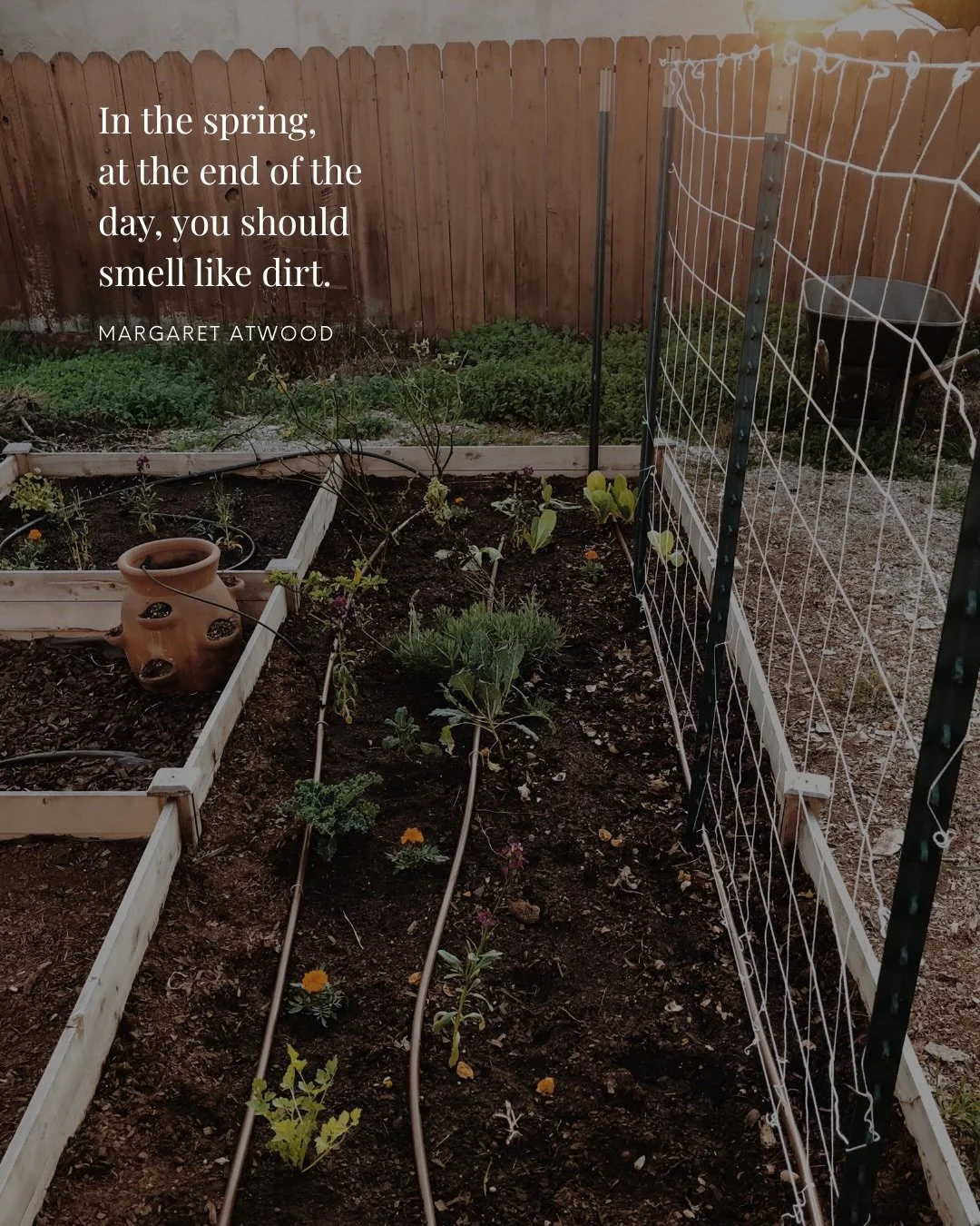 Spring in Madison might be my favorite season. 🌼

I&rsquo;m taking advantage of all of the sunshine and outdoor time I can get this year. We&rsquo;re lucky to have a lot of it down here!

Here are a few things I love about Madison in the spring:

⛵ 