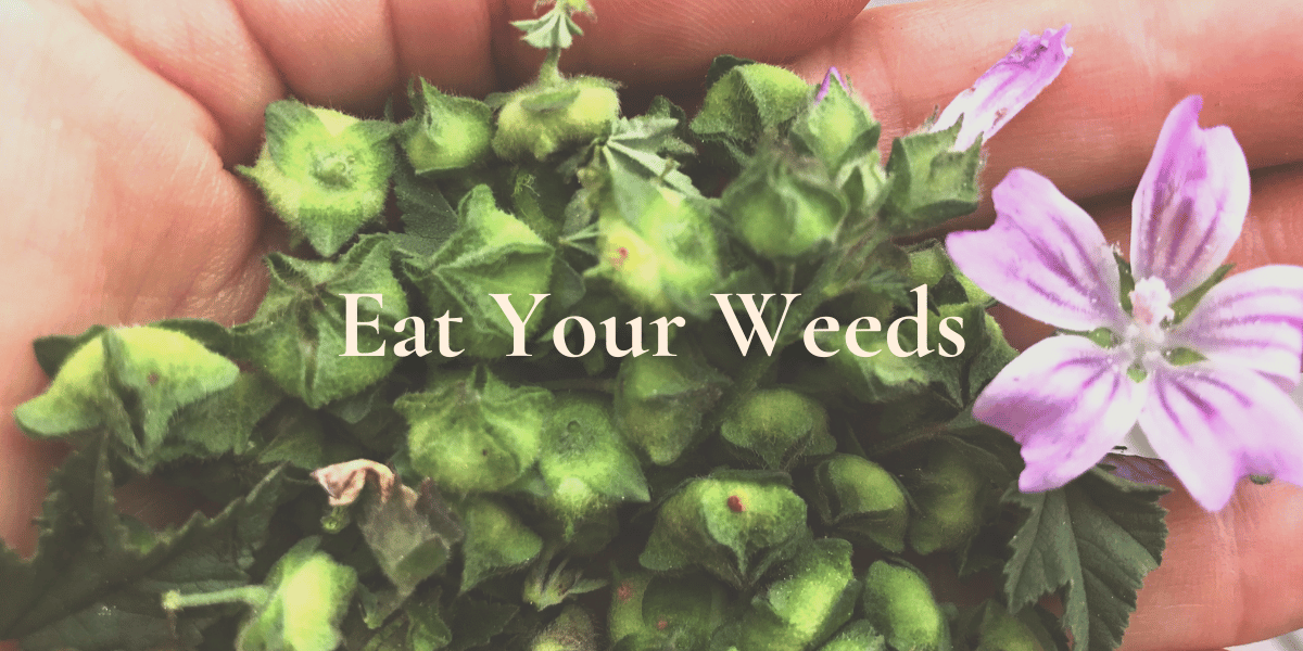 Eat Your Weeds
