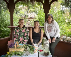 Seeds of Herbalism