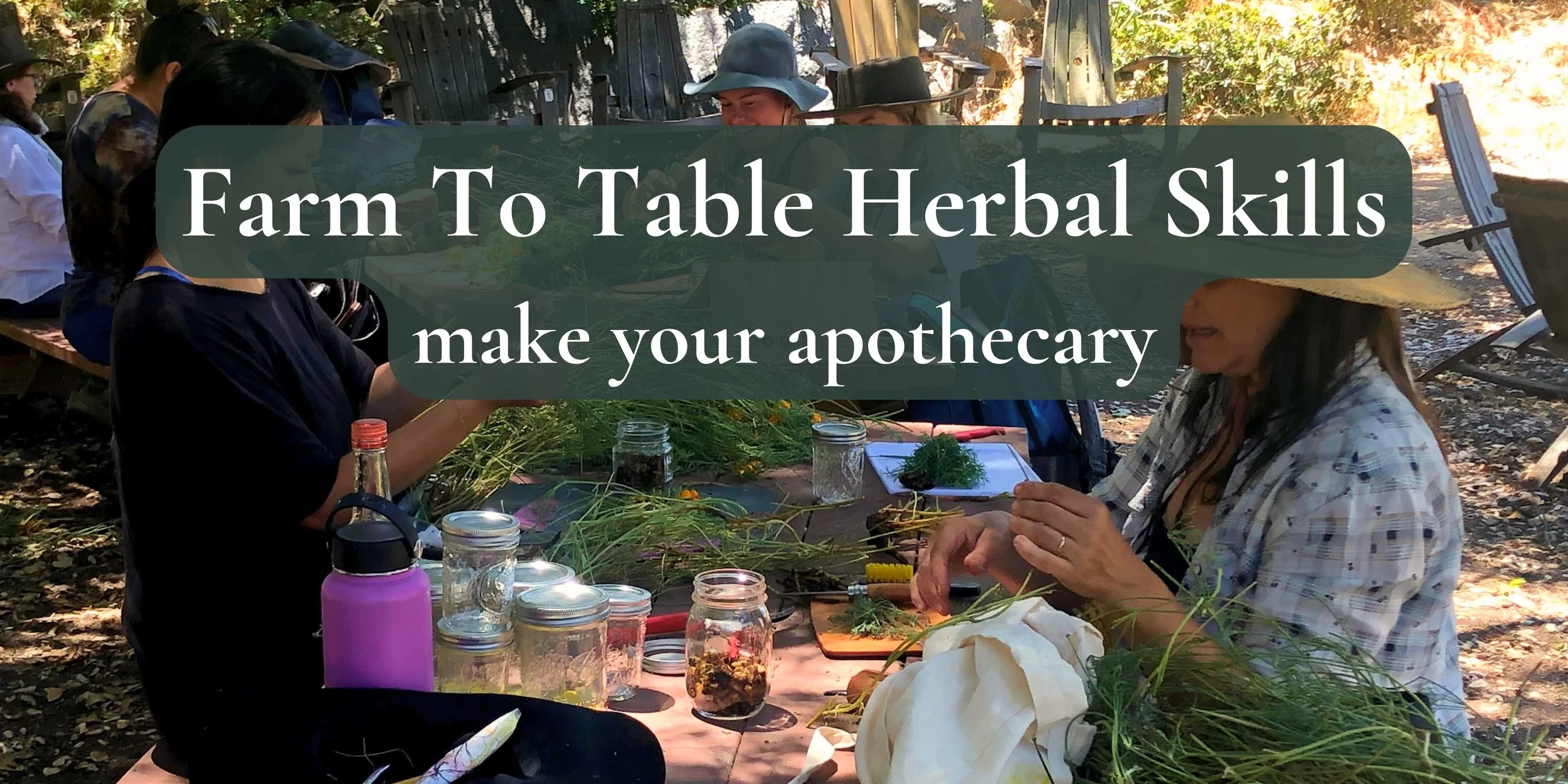 Farm to Table Herbal Skills: Make Your Apothecary