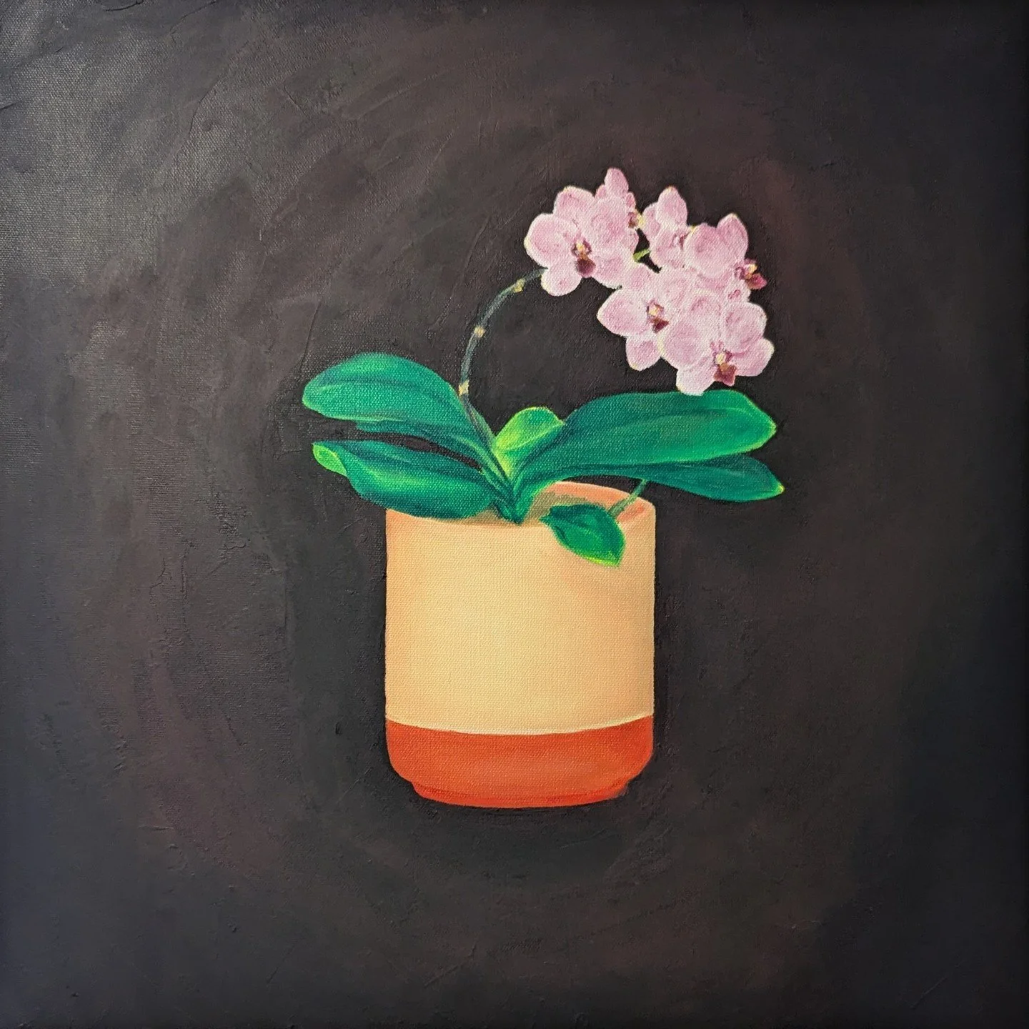 Glenn's Orchid (2023)
Acrylic on canvas
20&quot; x 20&quot;

#art
#acrylicpainting 
#orchid
#flower
#stilllife