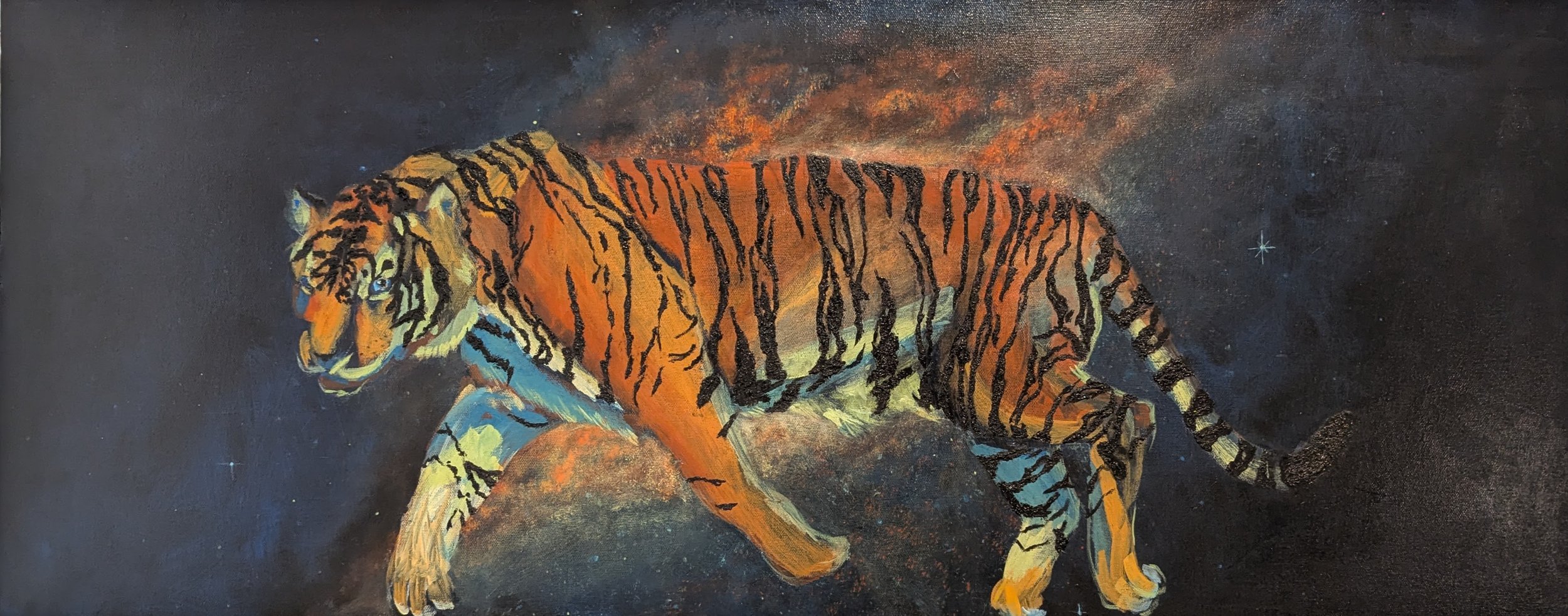 Space Tiger Team