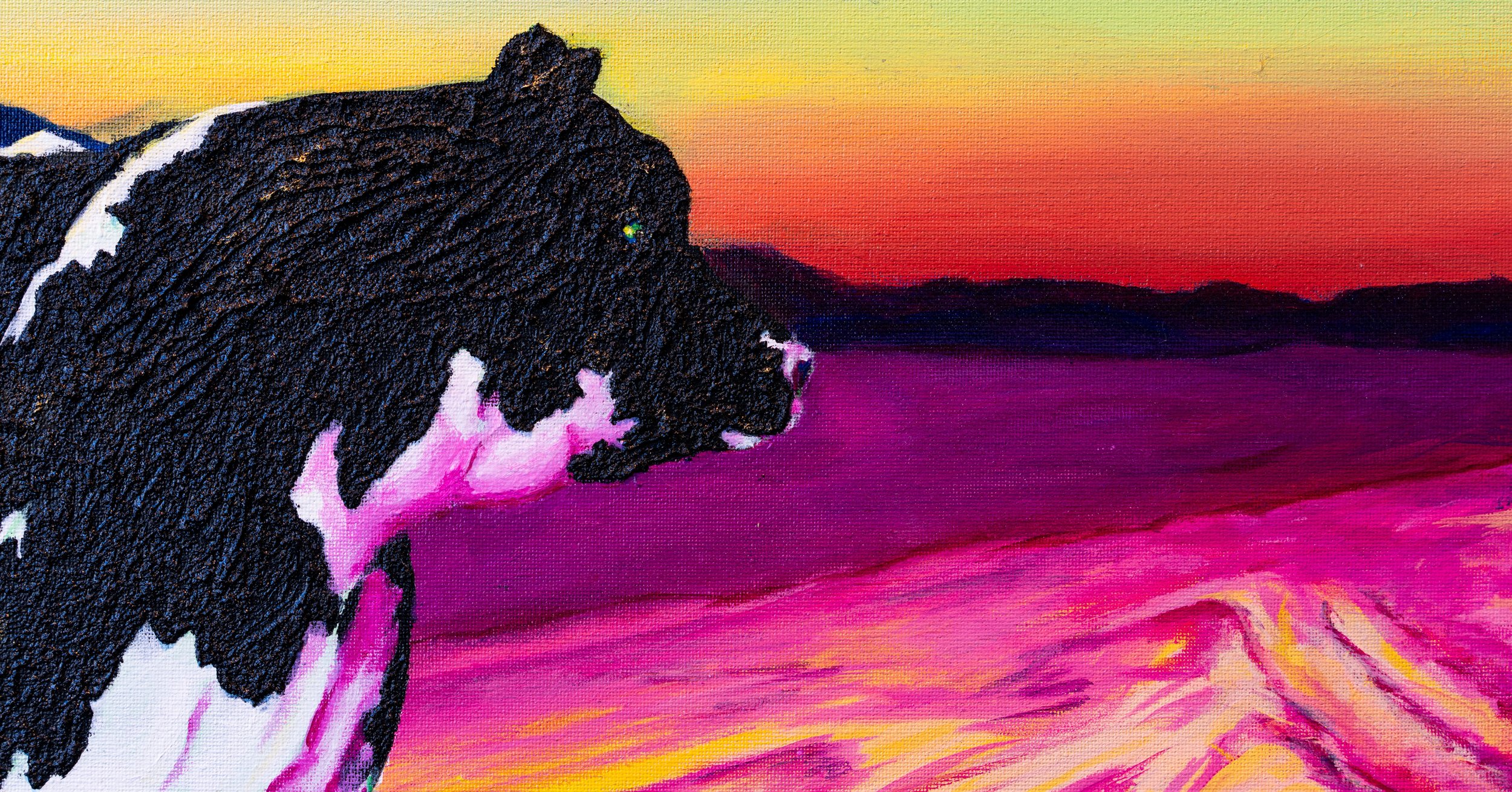 LK Cow Close Up-1.jpg