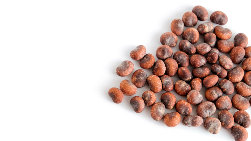 A pile of brown, slightly frosted dry fruits or seeds on a white background depicting grounded strong identity and quality of service.