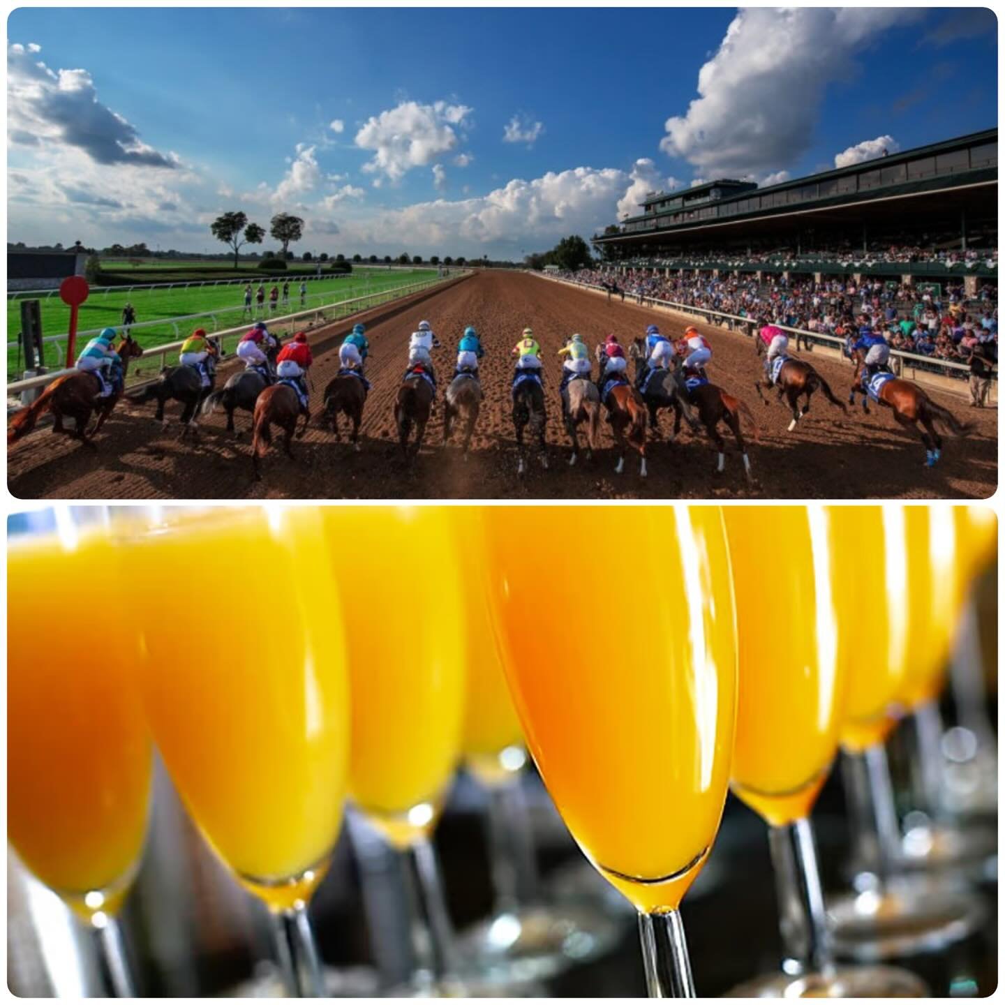 Join us for Brunch today before heading out to Keeneland starting at 11AM! Brunch always pairs well with bottomless mimsoas! 🍾 🍊 🐎😎
#sharethelex #lexington #brunch #weekend #mimosas #specials #lexington #lexingtonky #chevychase #keeneland