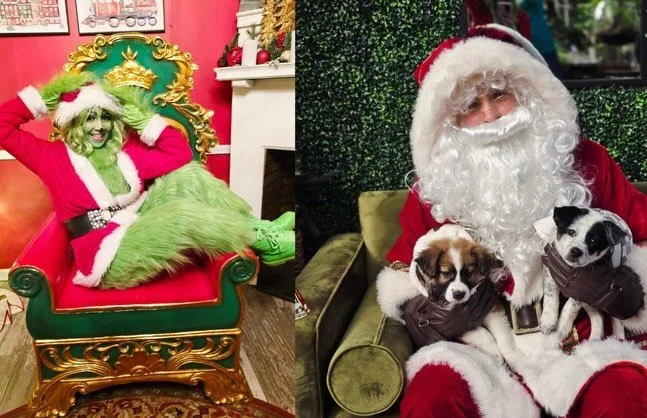 Join us tonight at 7pm for Christmas Trivia &amp; Cocktails and enjoy our amazing Christmas Decorations! 🎄

We will have a visit from Santa and The Grinch&rsquo;s Sister as well! 🎅 
Trivia is FREE to play and winners receive Gift Cards! 🤓