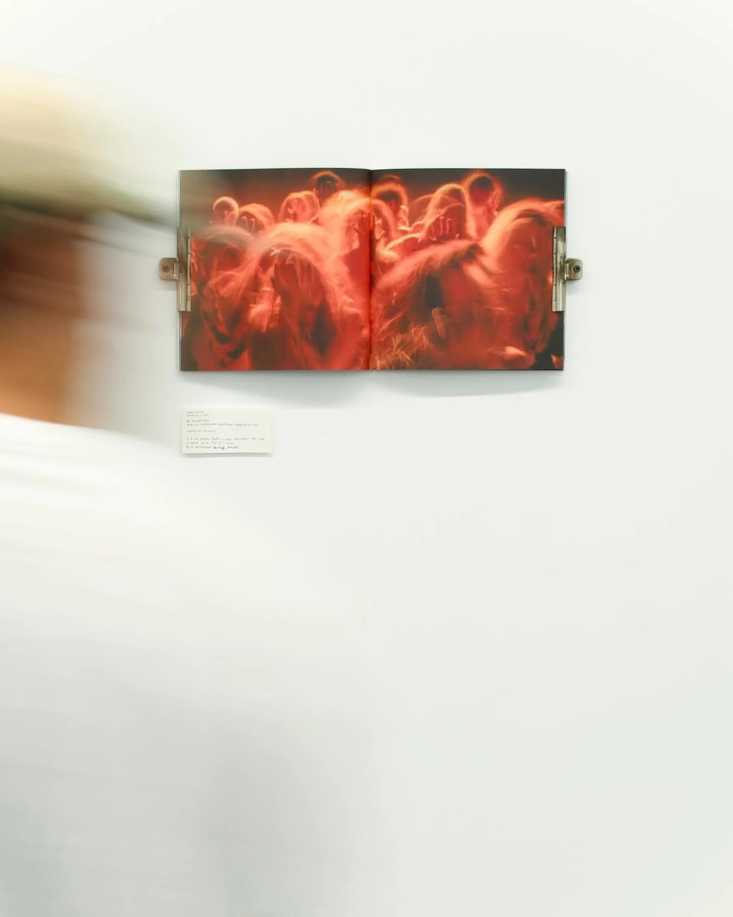 b1 + GASP GALLERY LA 🧨

GRAZIE MILLE @gaspzine @courtnipoe @goodmothergallery @momo0nline