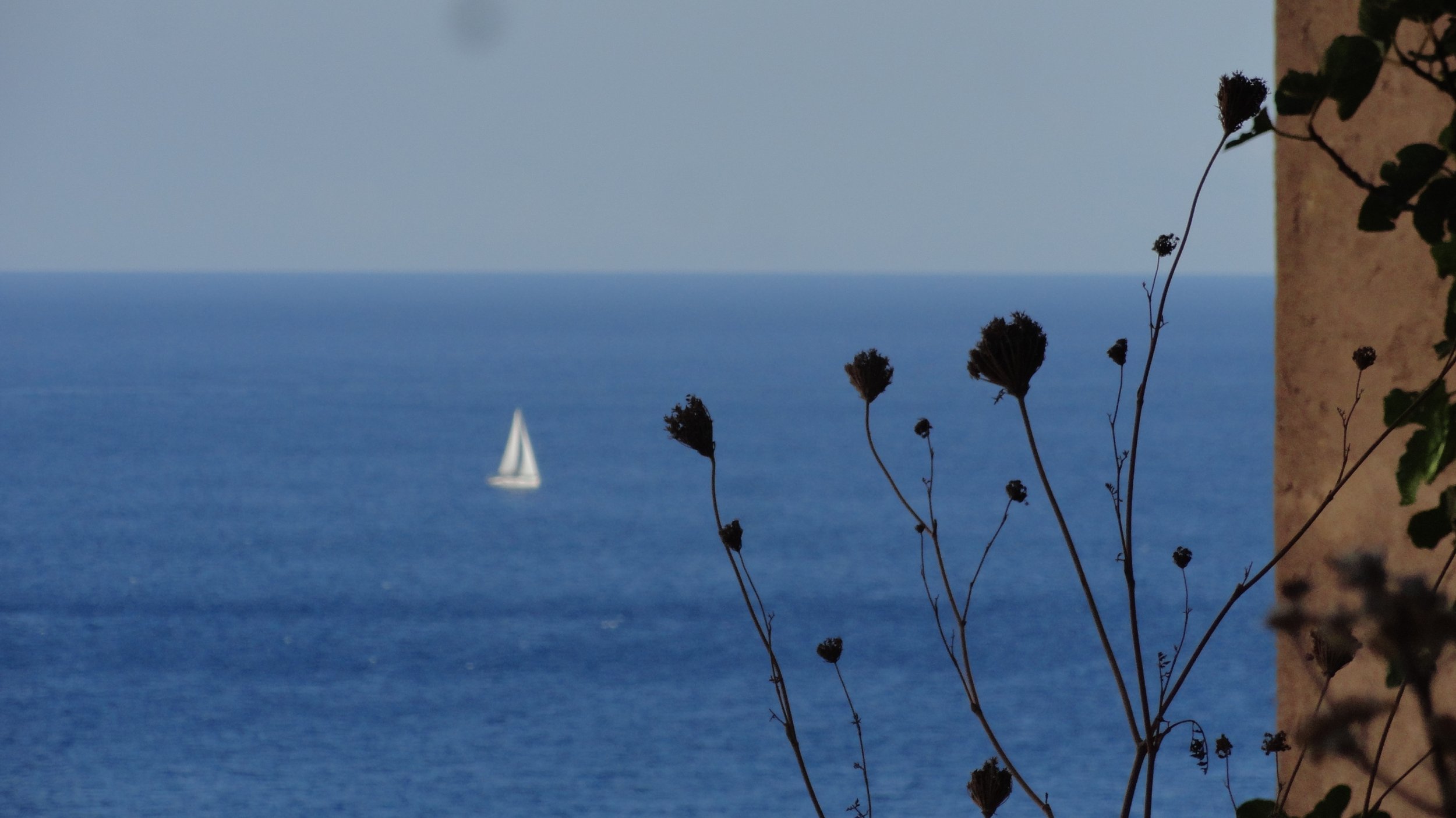 DSC03175.JPG