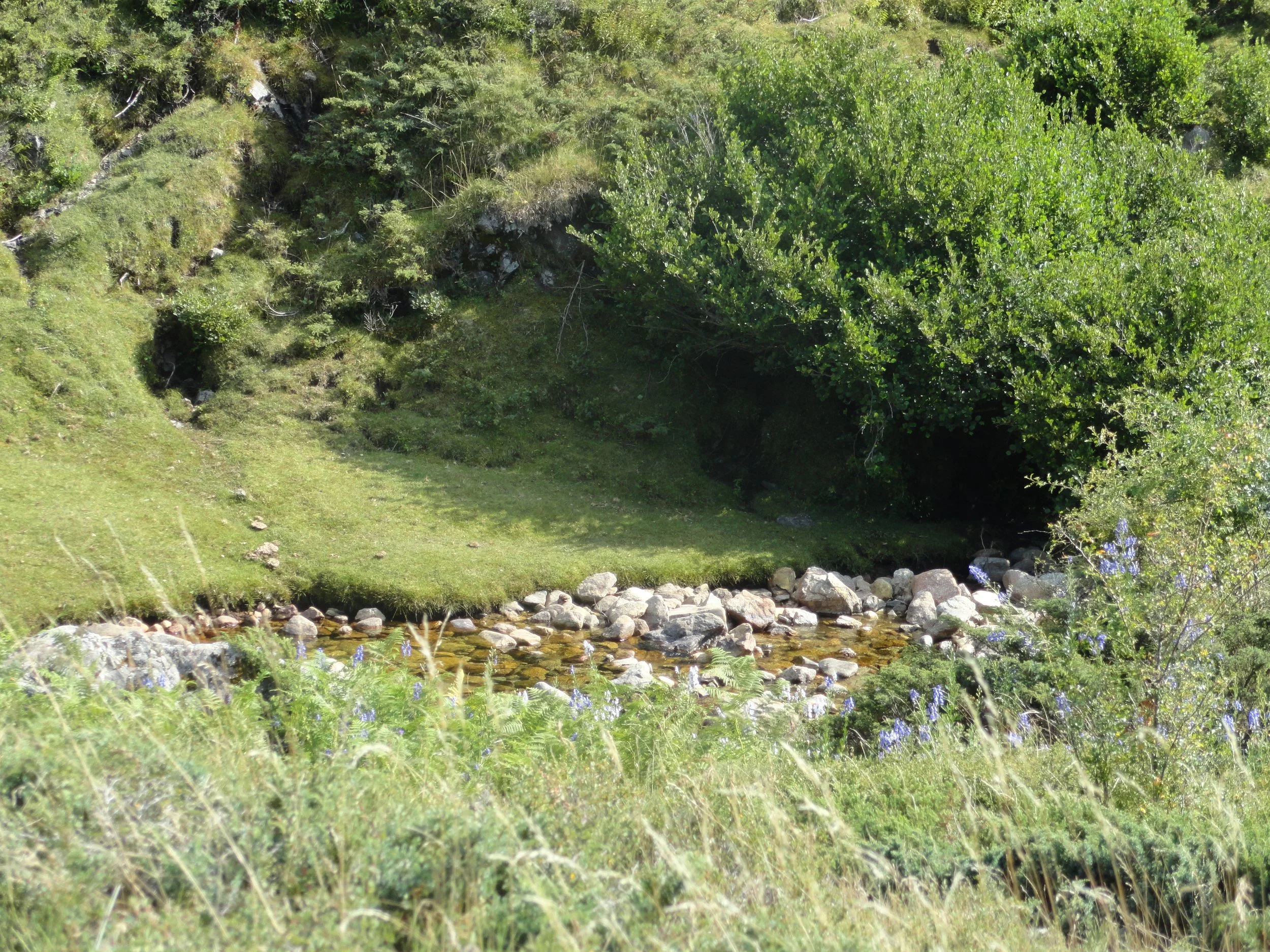 DSC02531.JPG