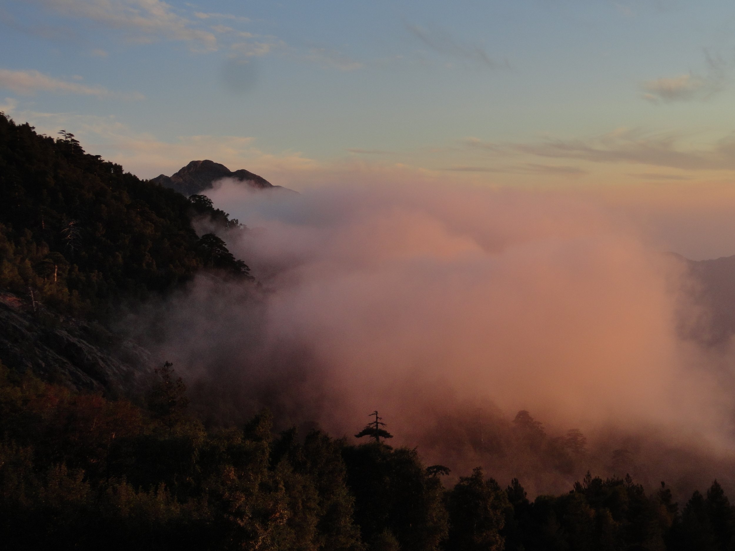DSC03100.JPG