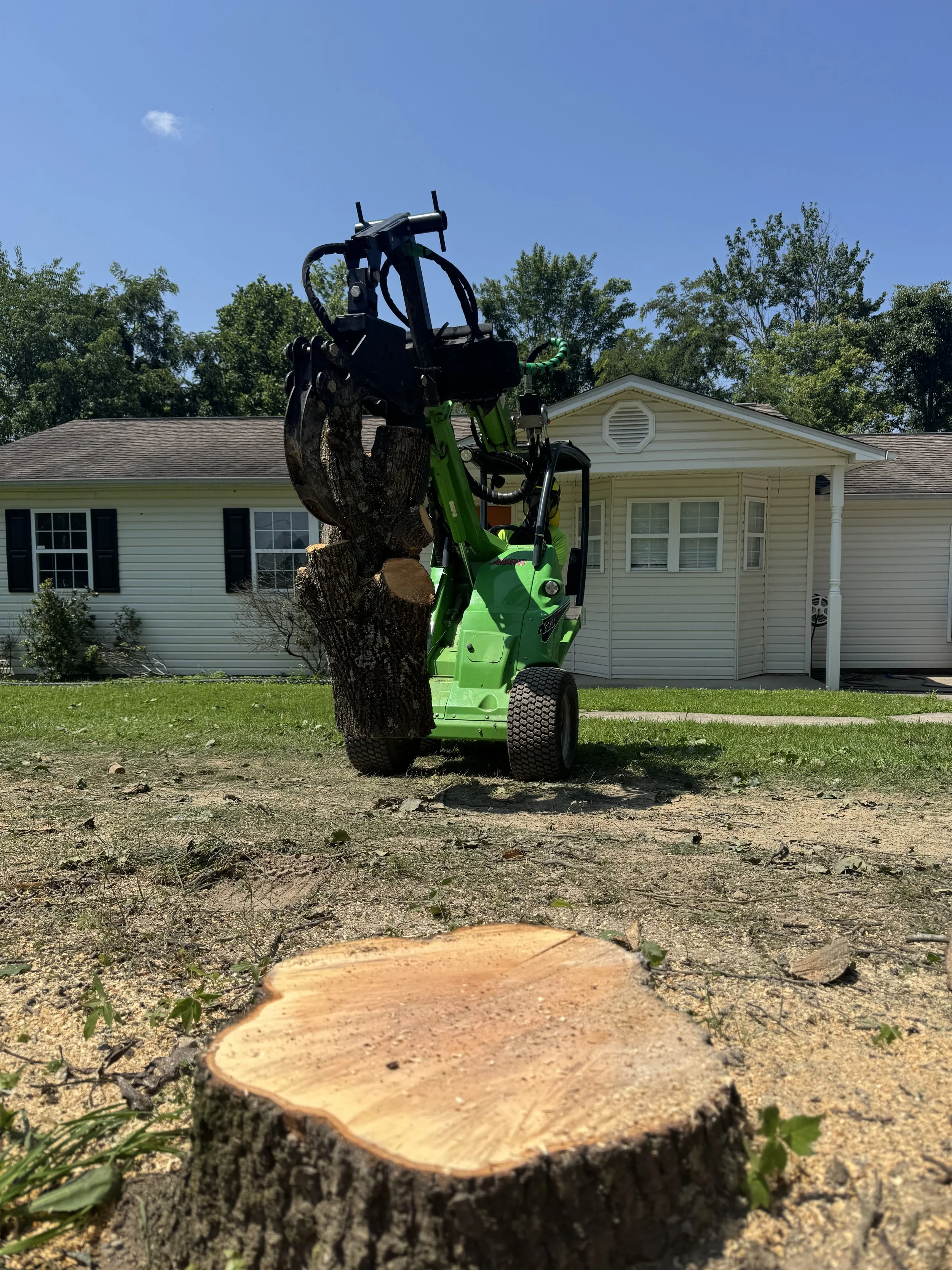 A green stump grinder with a grapple attachment cutting a tree in a yard in front of a white house with black shutters and a blue sky.