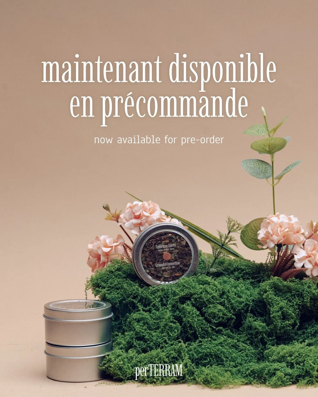 connexion ancr&eacute;e est maintenant disponible sur notre site web 🌿

formul&eacute; pour t&rsquo;aider &agrave; ralentir, &agrave; apaiser le mental quand les pens&eacute;es s&rsquo;encha&icirc;nent, et &agrave; te ramener doucement dans le momen