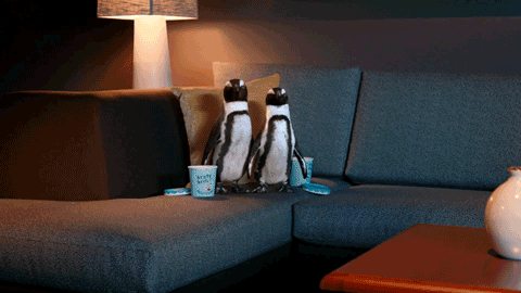 Marriott Residence Inn Penguin
 Creature 