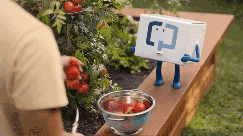 Cologuard Tomato Garden
 Creature 