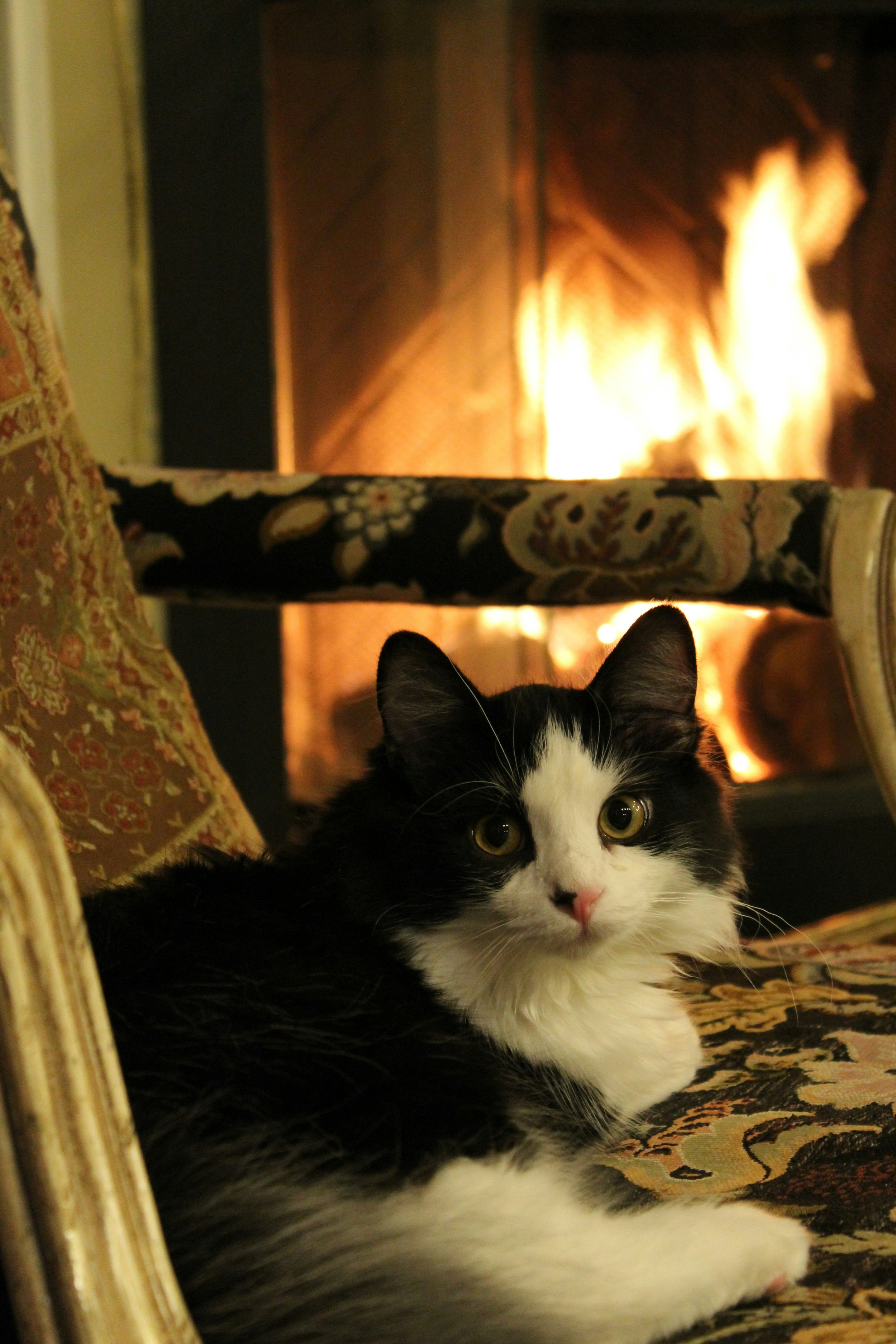 Staying Healthy Through Winter