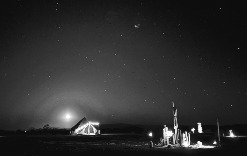 Nighttime desert scene with a tent and a cluster of cacti illuminated by ground lights, stars in the sky, and a bright moon on the horizon.