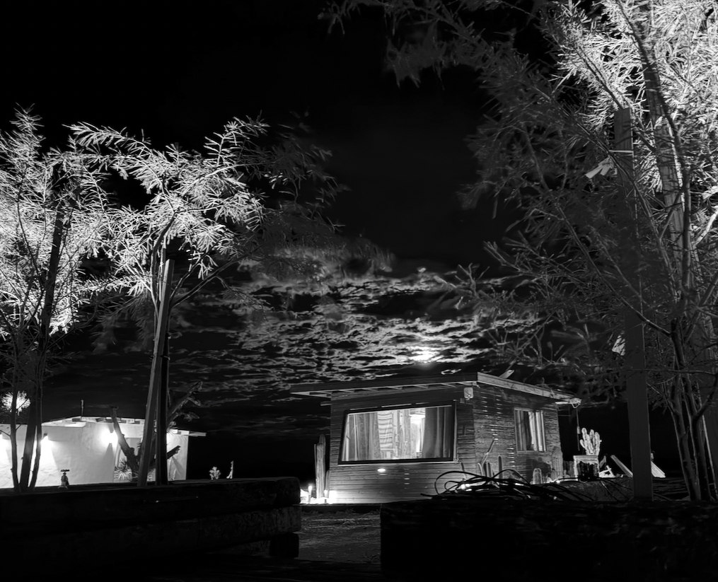 Night scene with a small house or cabin, illuminated by exterior lights, surrounded by trees with detailed leaves, and a cloudy sky with the moon shining through.
