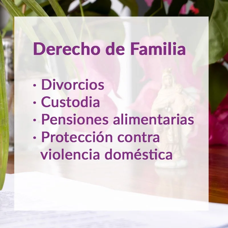 Derecho de Familia: divorcios, custodia, pensiones alimentarias y protección contra violencia doméstica